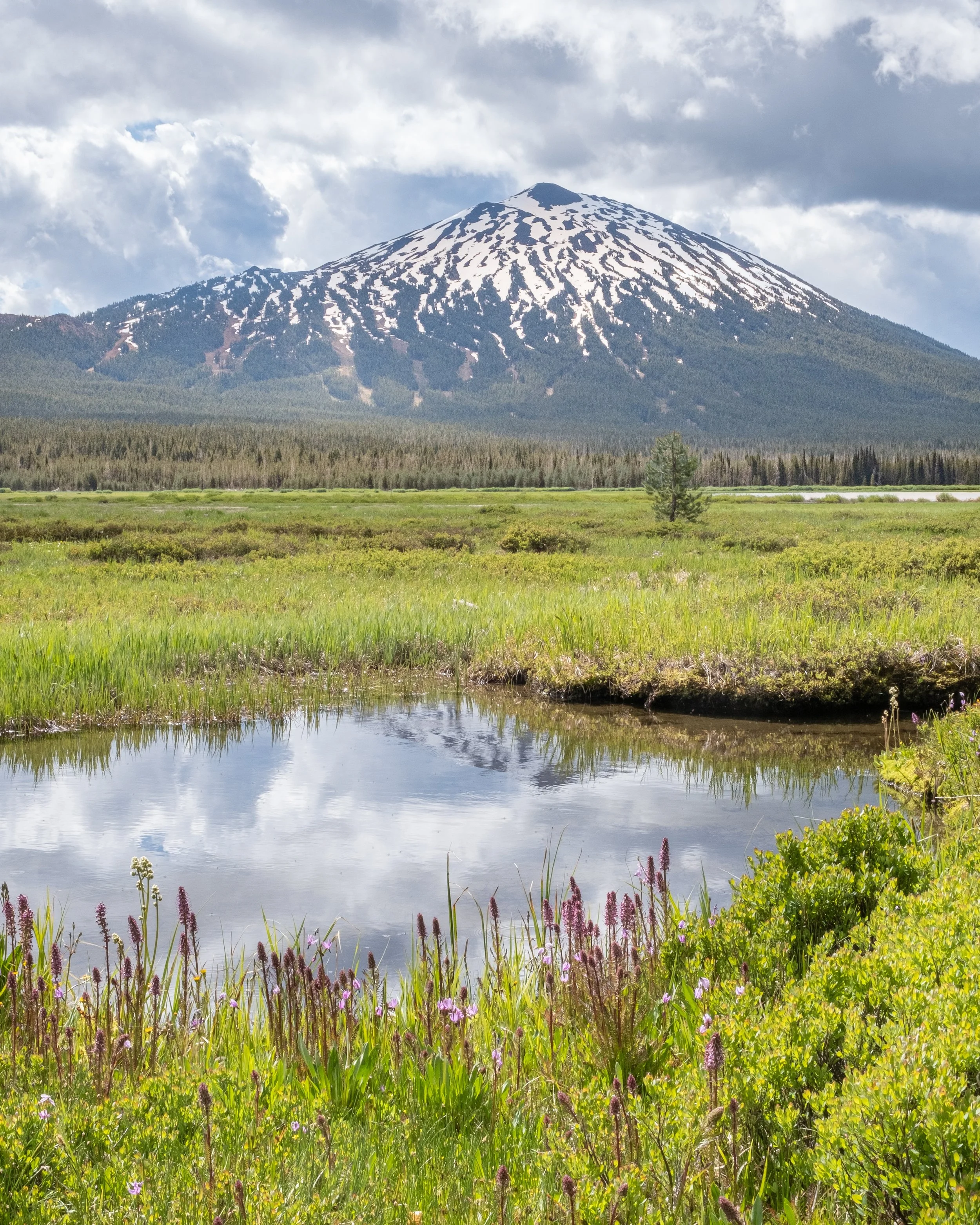 Manufactured home community with a view of the mountains in Oregon