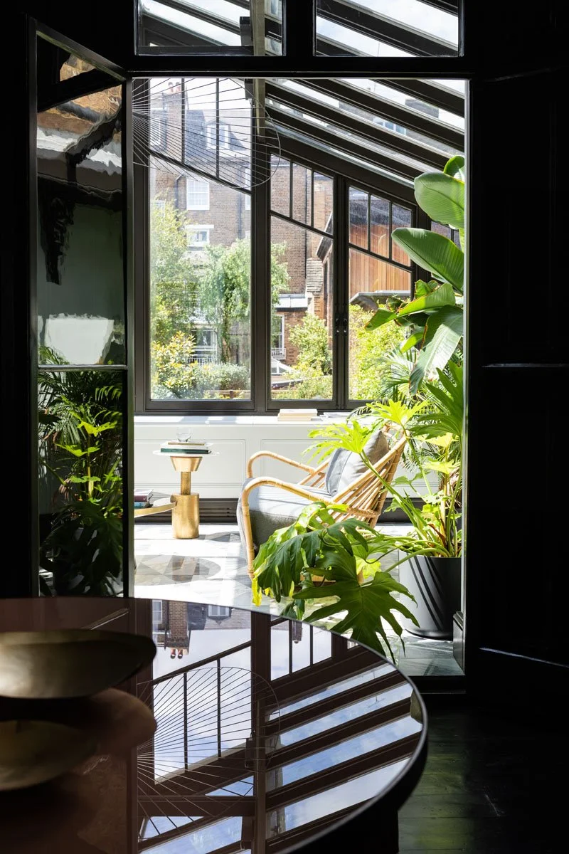 A bright sunlit sunroom with large windows and tropical plants, including a rubber plant. There is a rattan chair with cushions and a small side table. Outside, there are trees and a brick building.