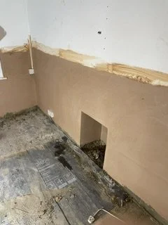 image1 (1).jpeg