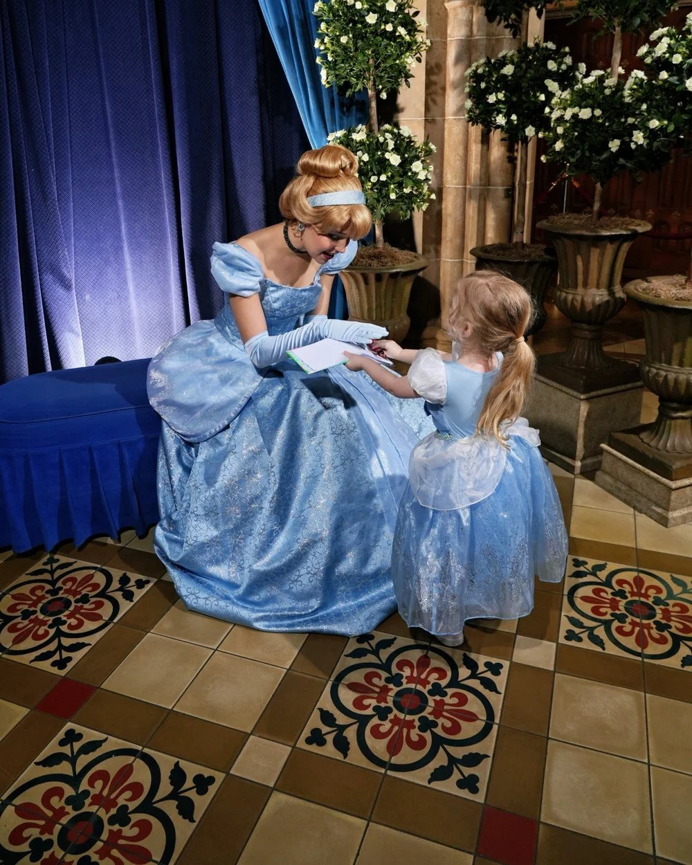 Stephanie's daughter in a Cinderella gown meeting Cinderella at Walt Disney World.
