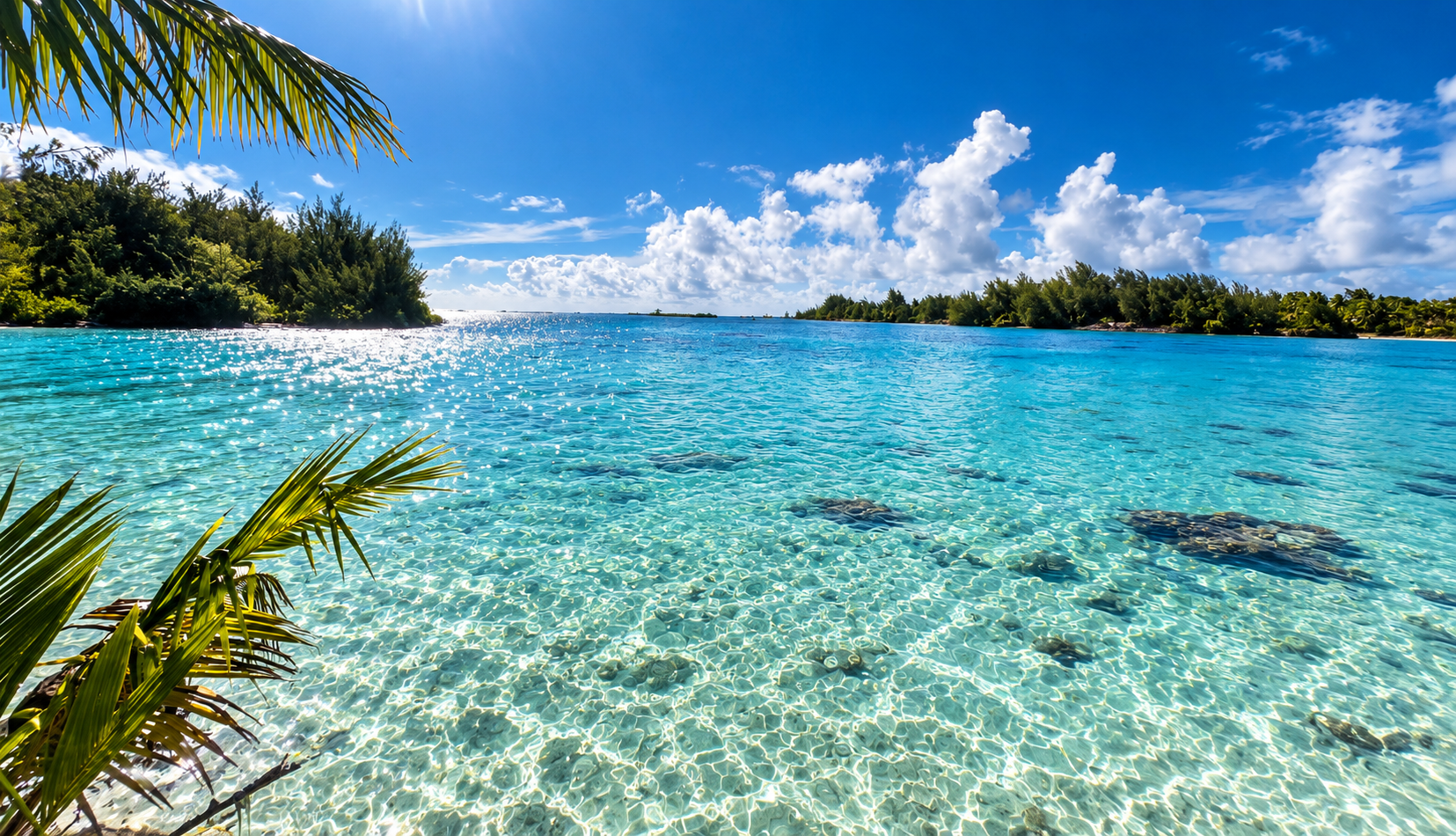 Palm fronds framing the clear, sparkling lagoon of Tetiaroa