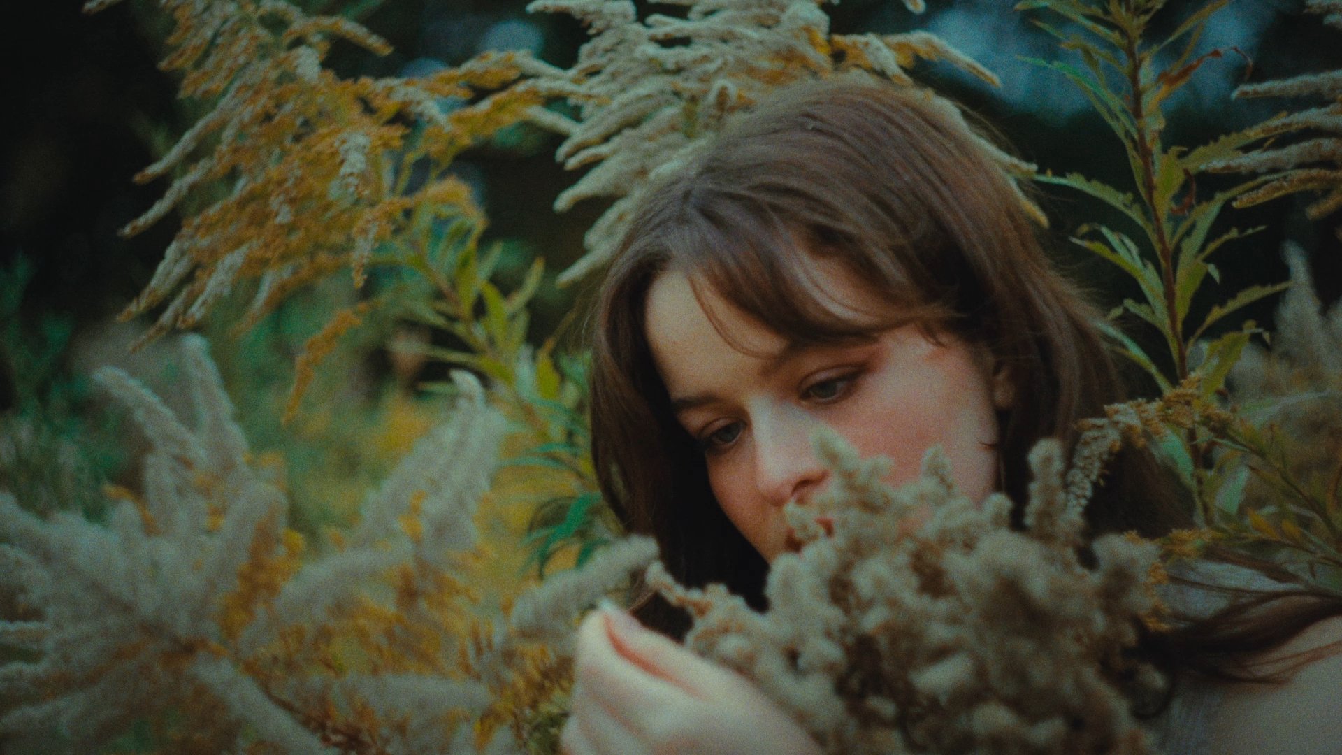 Hyacinth, Death & a Ghost