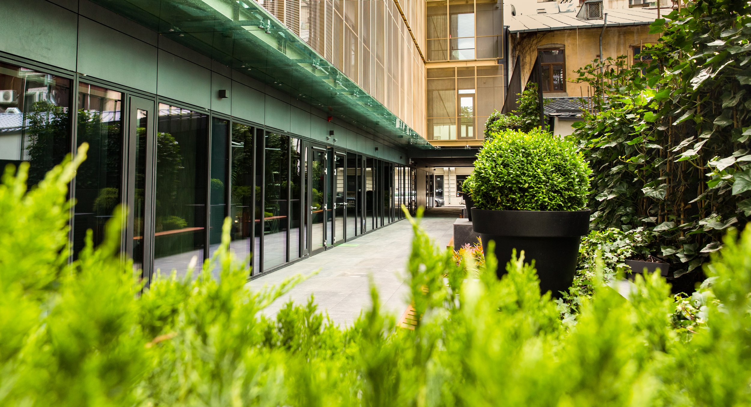 Exterior view of a modern building with glass doors and large potted plants, surrounded by greenery and neighboring older buildings.