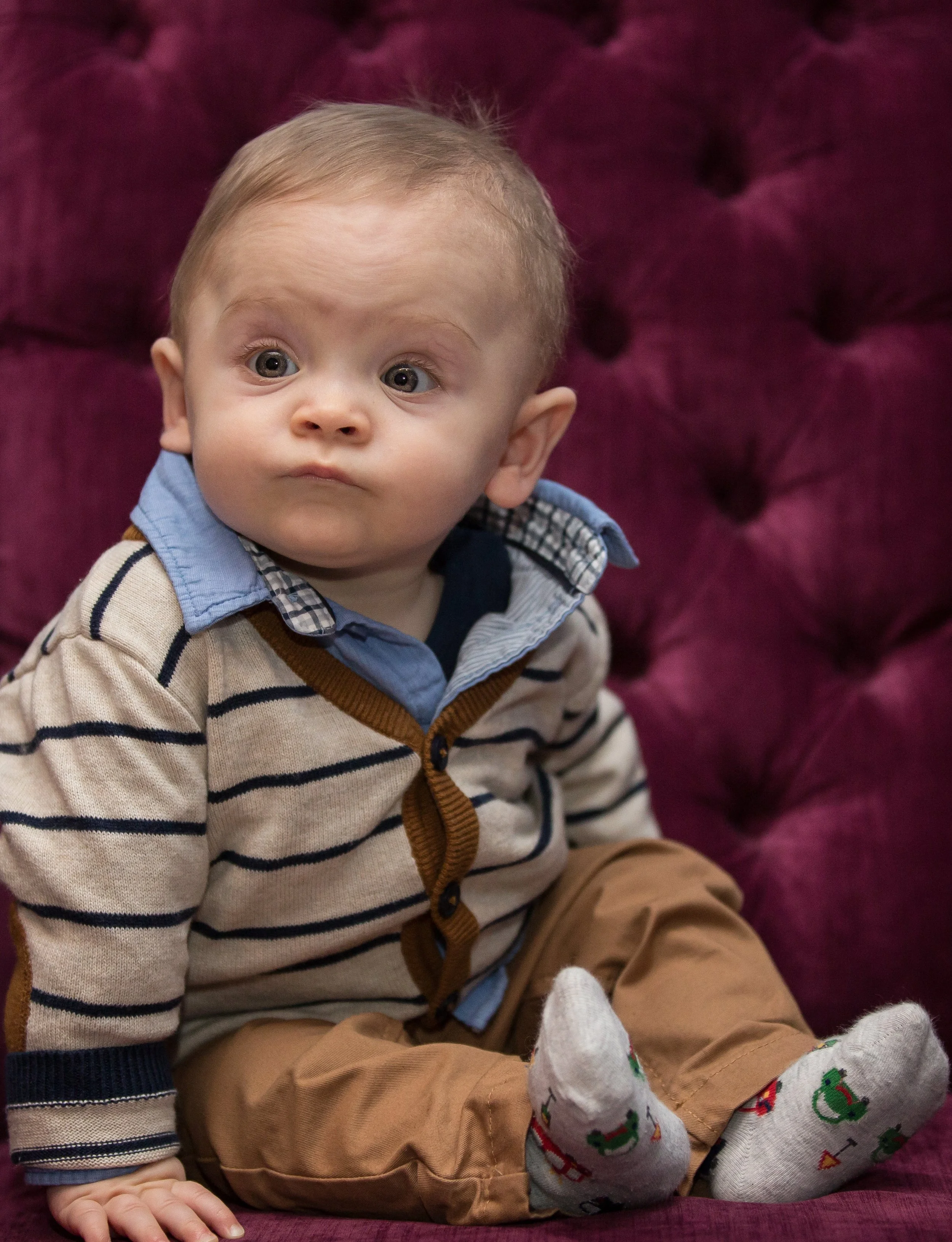 A young child with blonde hair and big eyes sitting on a purple velvet tufted chair, wearing a striped sweater, tan pants, and festive socks, with a surprised or curious expression.