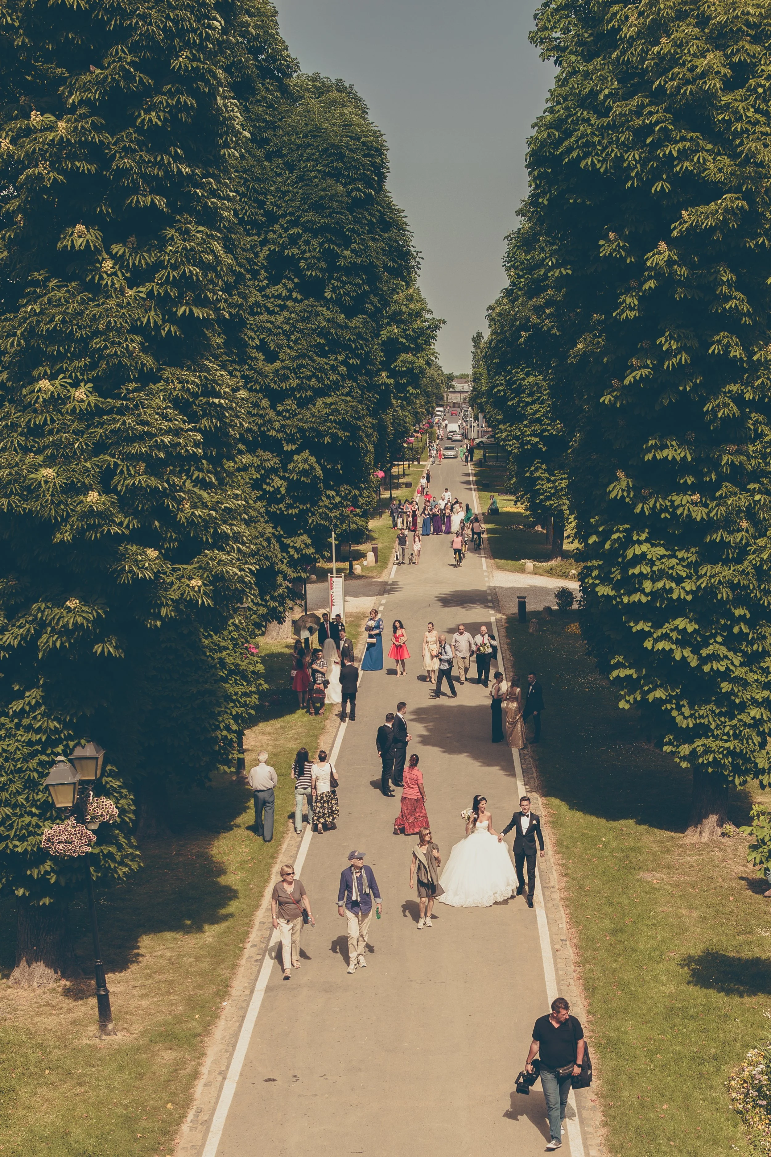 A wedding procession walking down a tree-lined pathway with many guests and a bride in a white gown at the front.