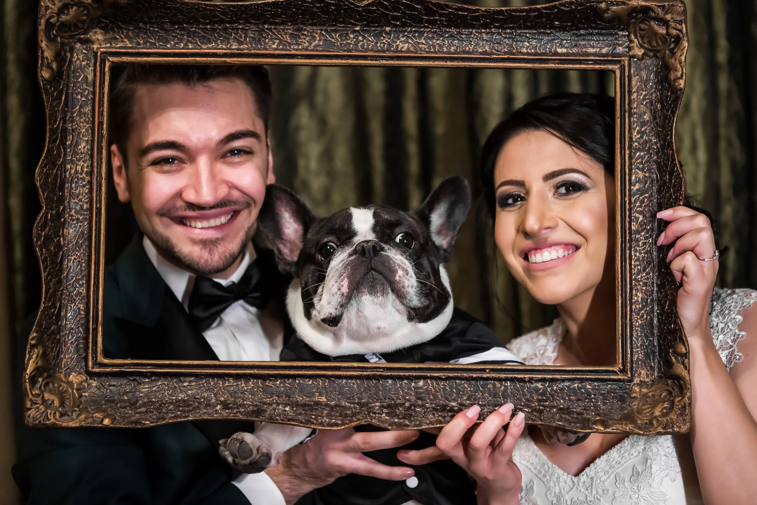 A smiling man in a tuxedo, a smiling woman in a wedding dress, and a French Bulldog wearing a tuxedo pose behind an ornate picture frame. The background features dark, textured curtains.