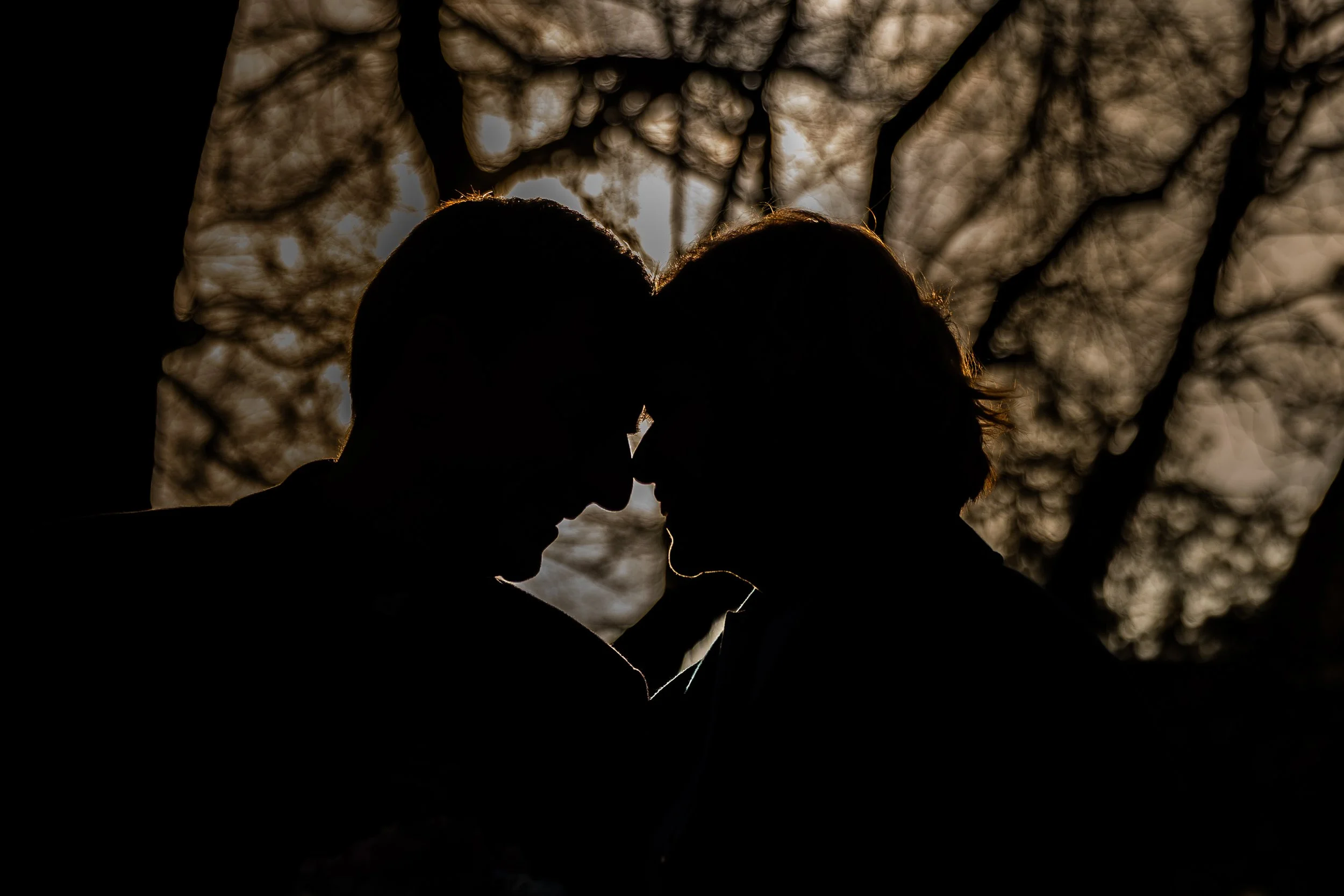 Silhouette of a couple's faces close together with their foreheads touching, backlit by sunlight filtering through trees, creating a glowing outline around their heads.