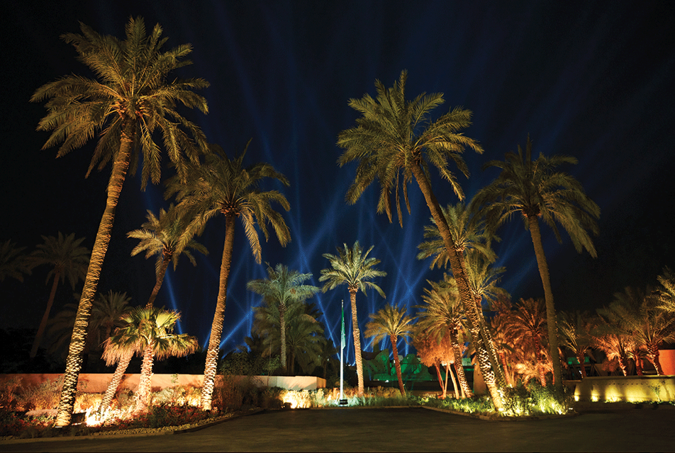 Palm Trees.png