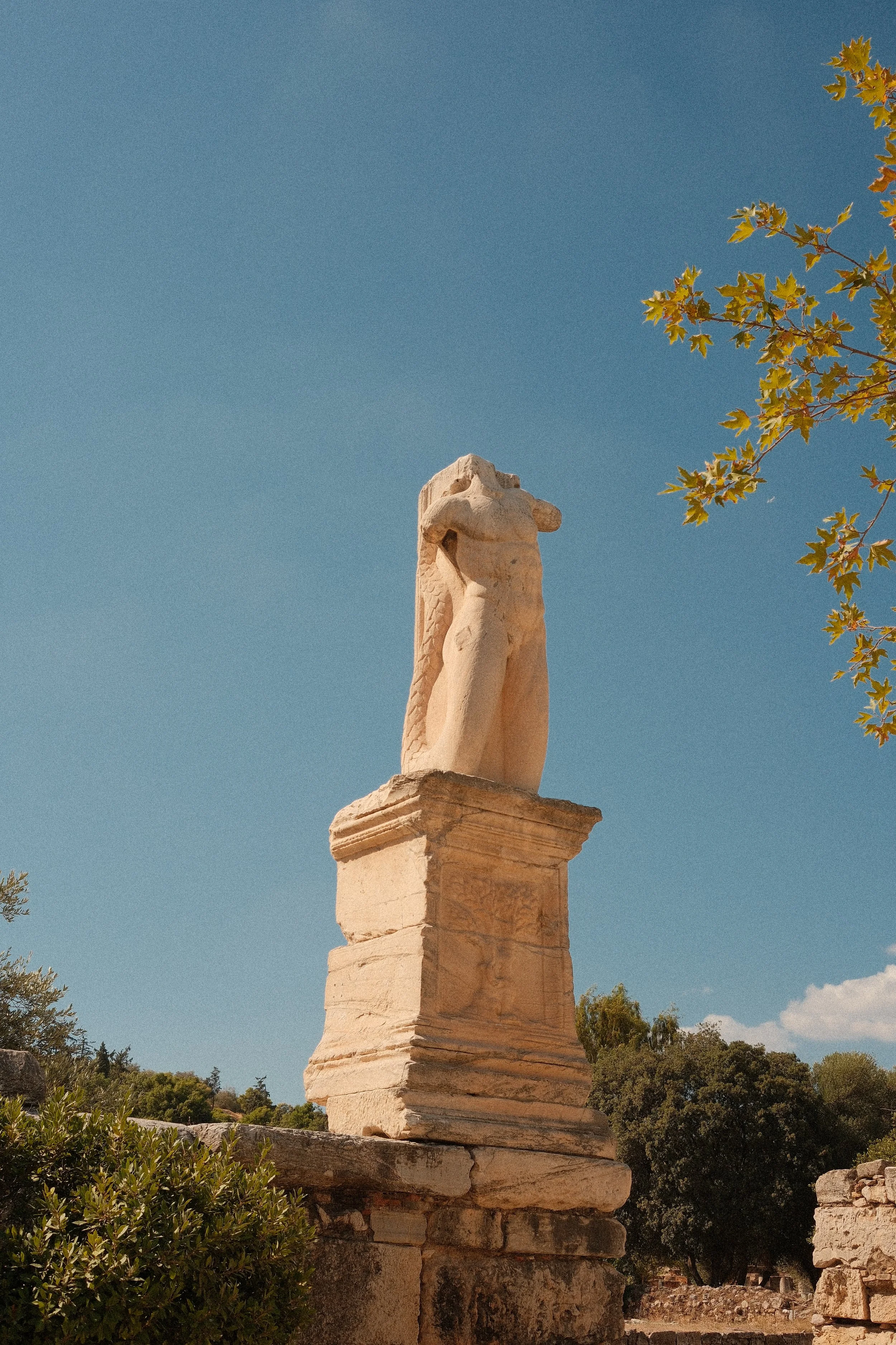 DSCF4373.jpg