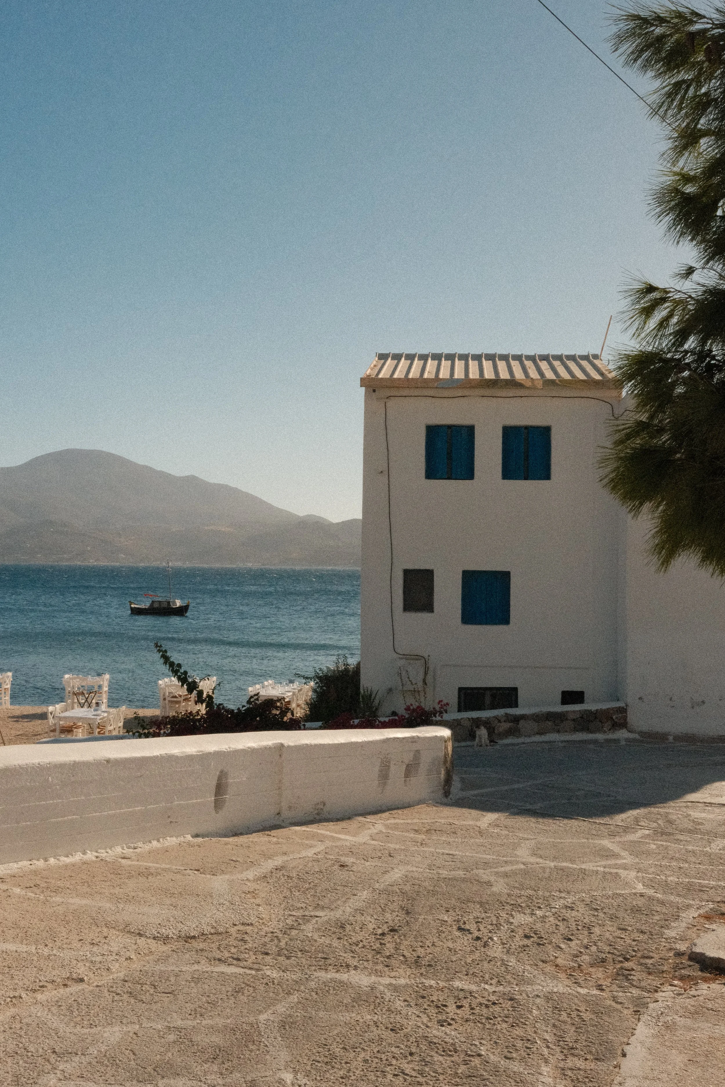 DSCF1229.jpg