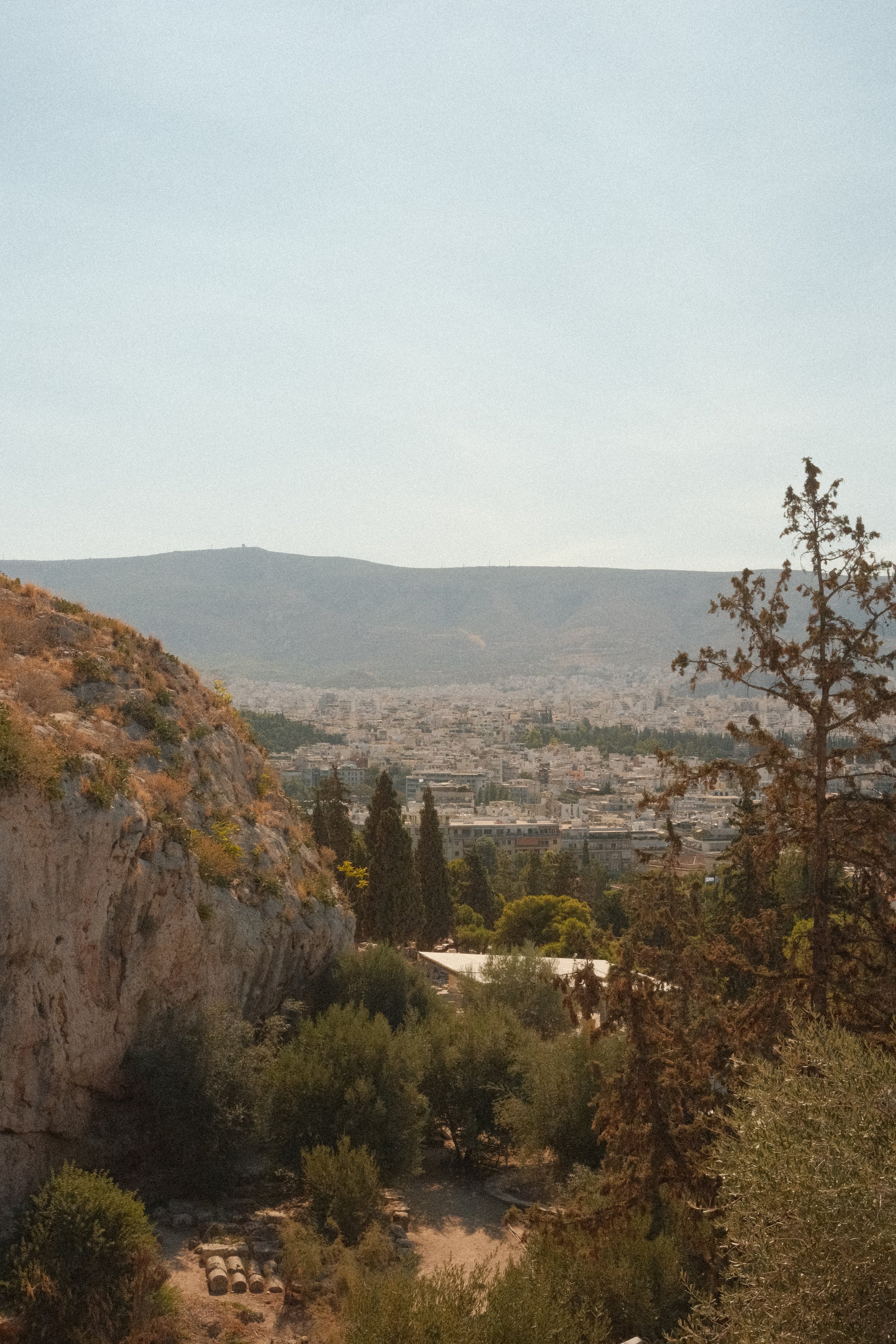 DSCF0835.jpg