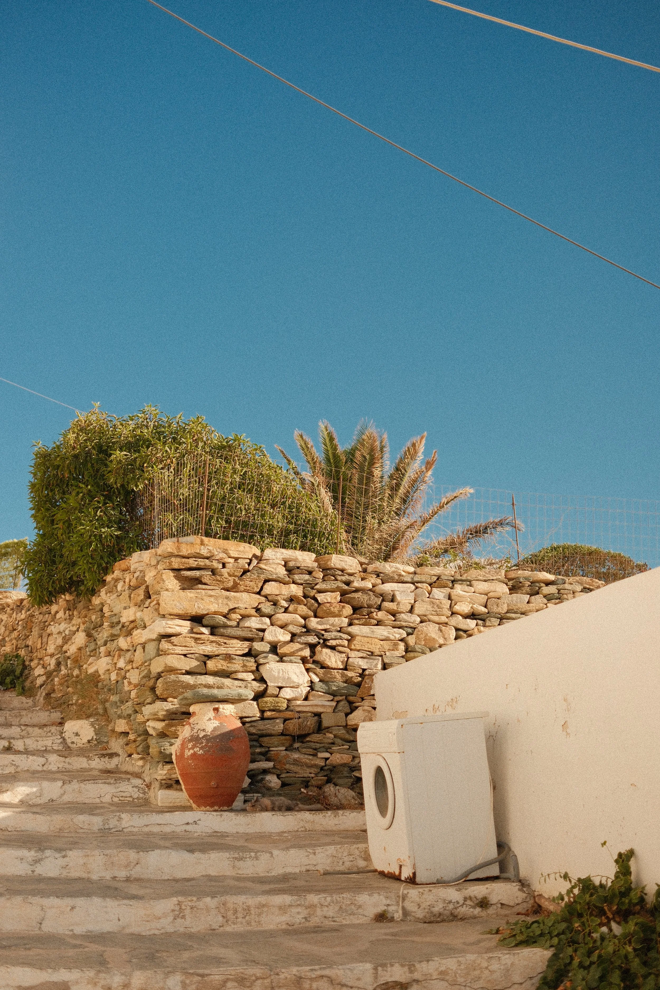 DSCF2681-2.jpg