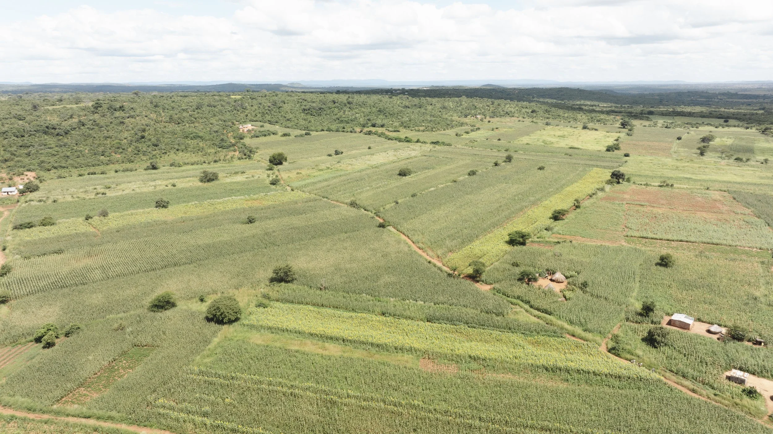 drone edited-5.jpg