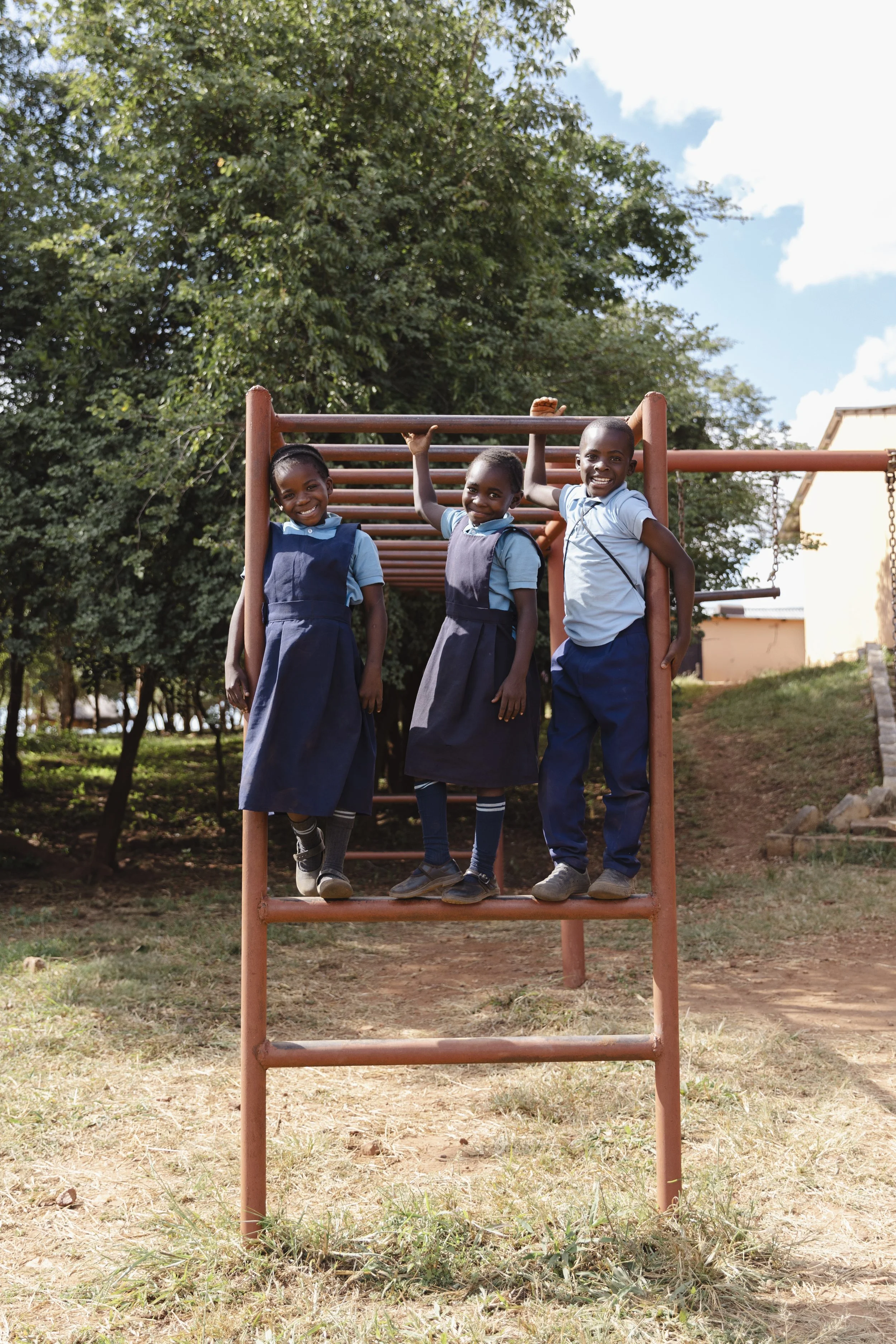 Post-School Monkey Bars