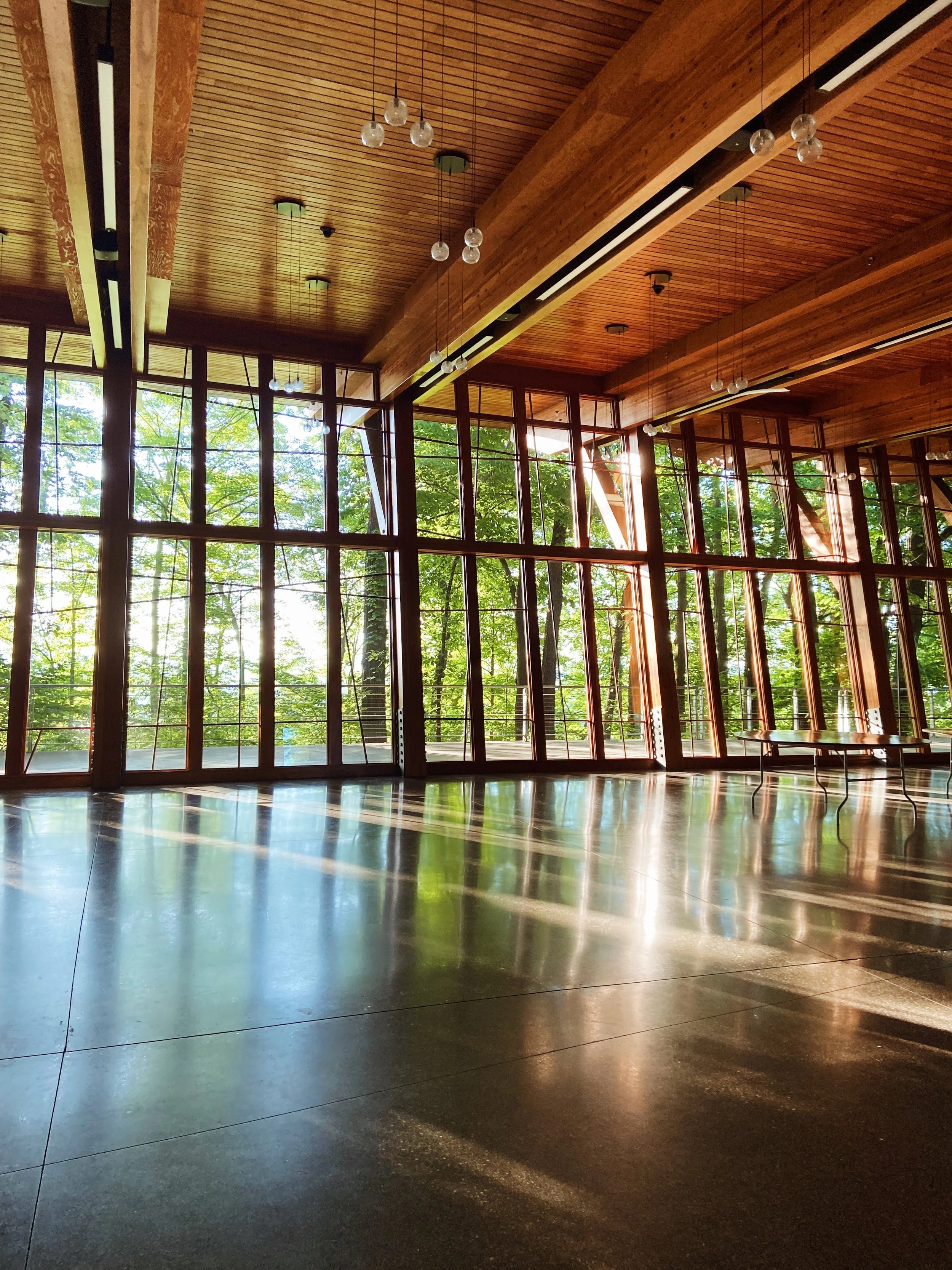 A spacious interior with large floor-to-ceiling windows letting in natural light, showing lush green trees outside. The ceiling is made of wood with hanging light fixtures, and the polished floor reflects the sunlight.