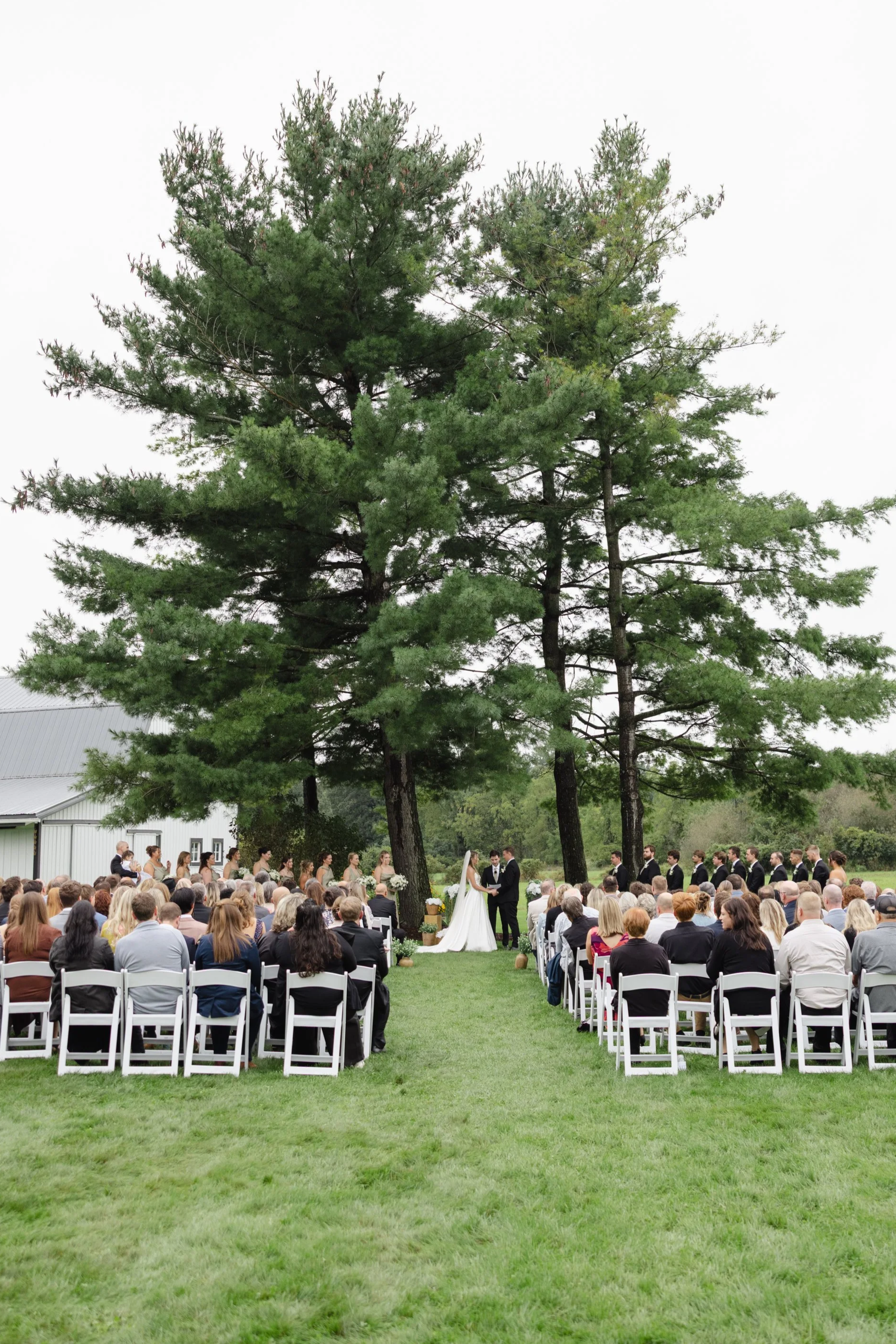 Outdoor wedding ceremony with bride and groom exchanging vows in front of a large pine tree, surrounded by seated guests in a grassy area.