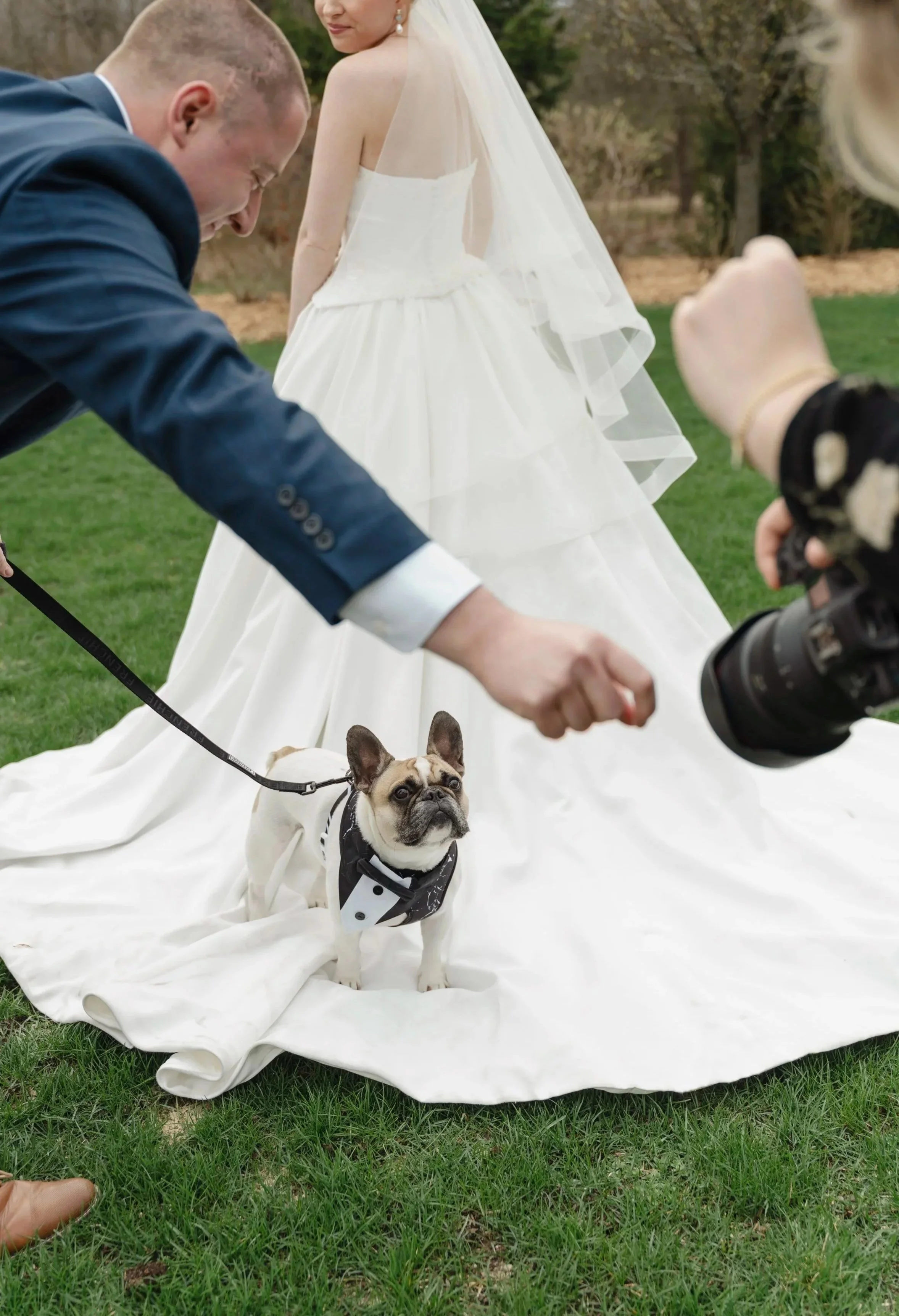 A bride in a wedding dress and veil poses outdoors with a French Bulldog on a leash, dressed in a tuxedo, and a man is visible holding a camera.