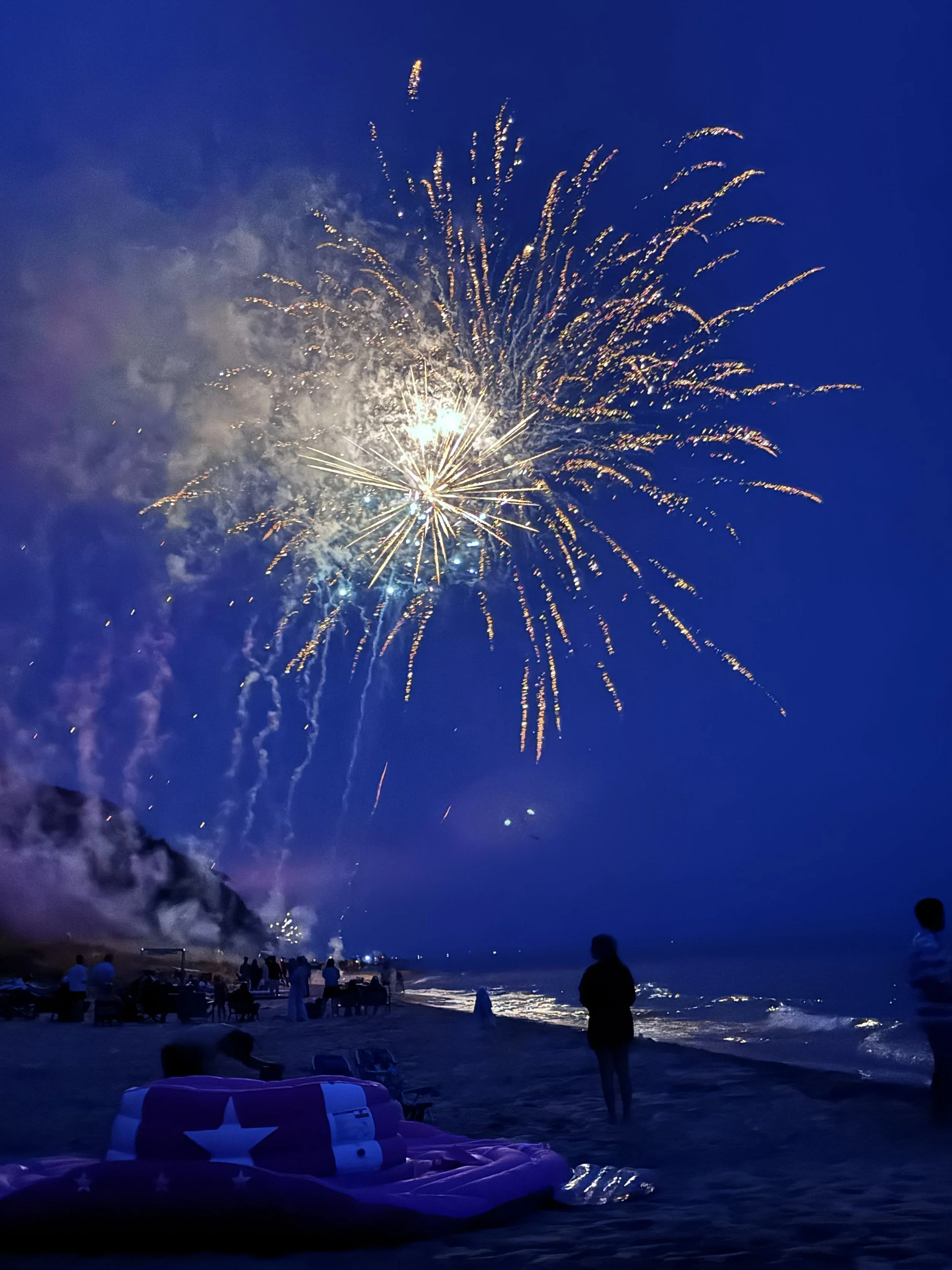Fireworks lighting up the night sky above a crowded beach on Lake Michigan.