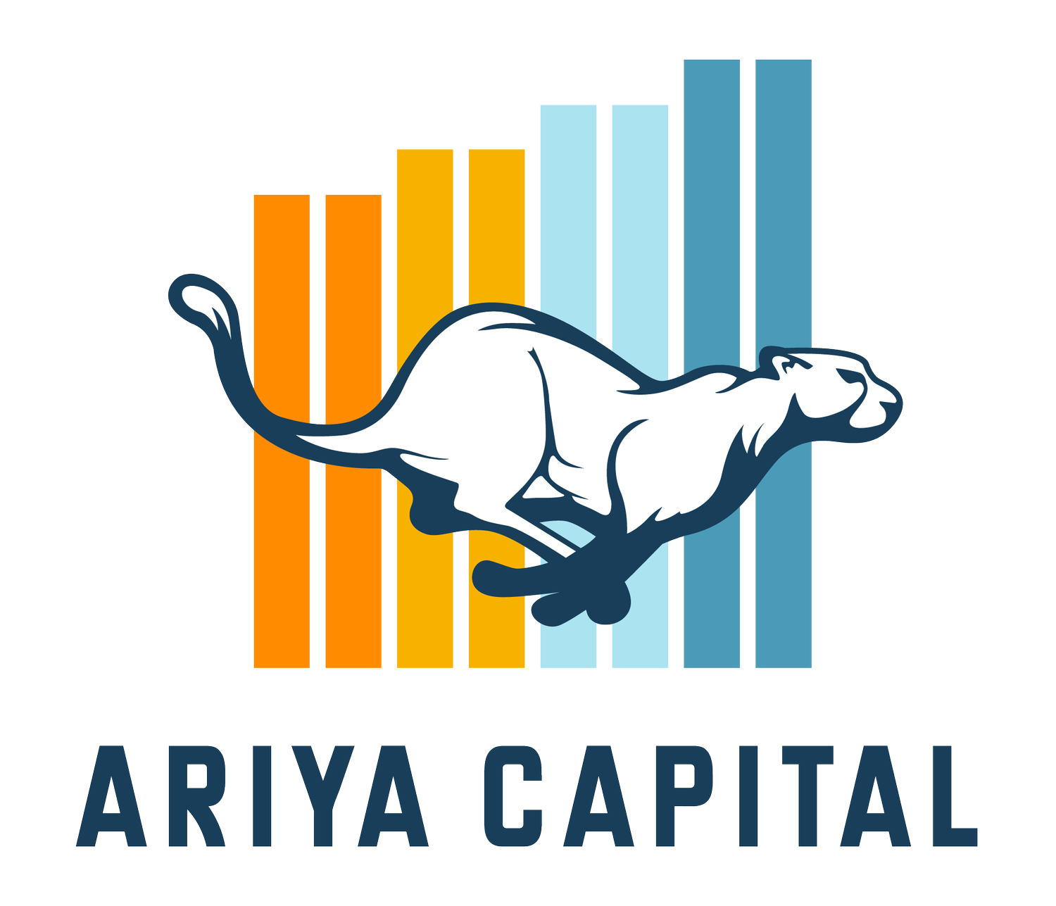 Ariya Capital Group - Six bylined placements in The East African and CFI.co