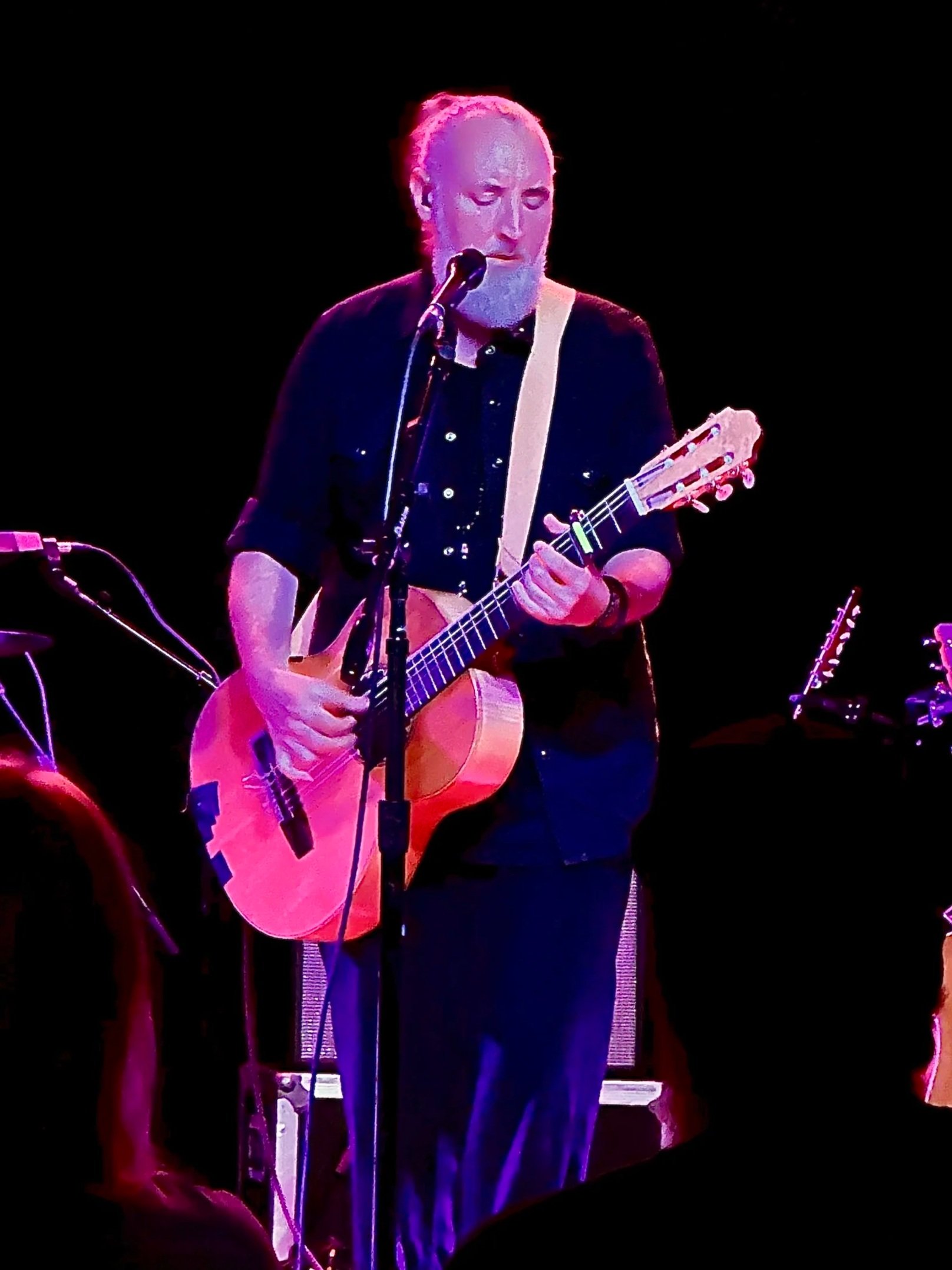 Fink concert; Madison, WI