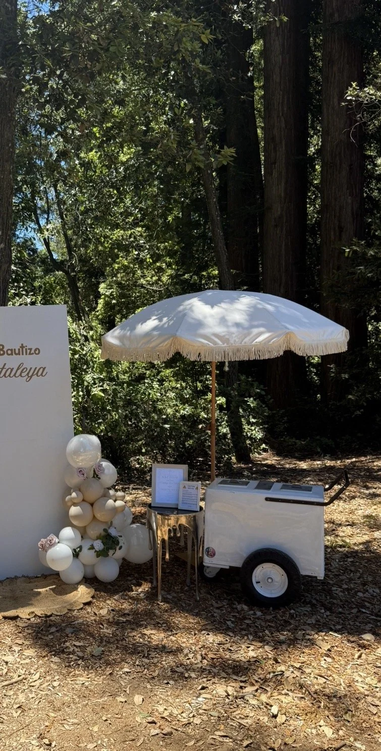 Paleta Cart