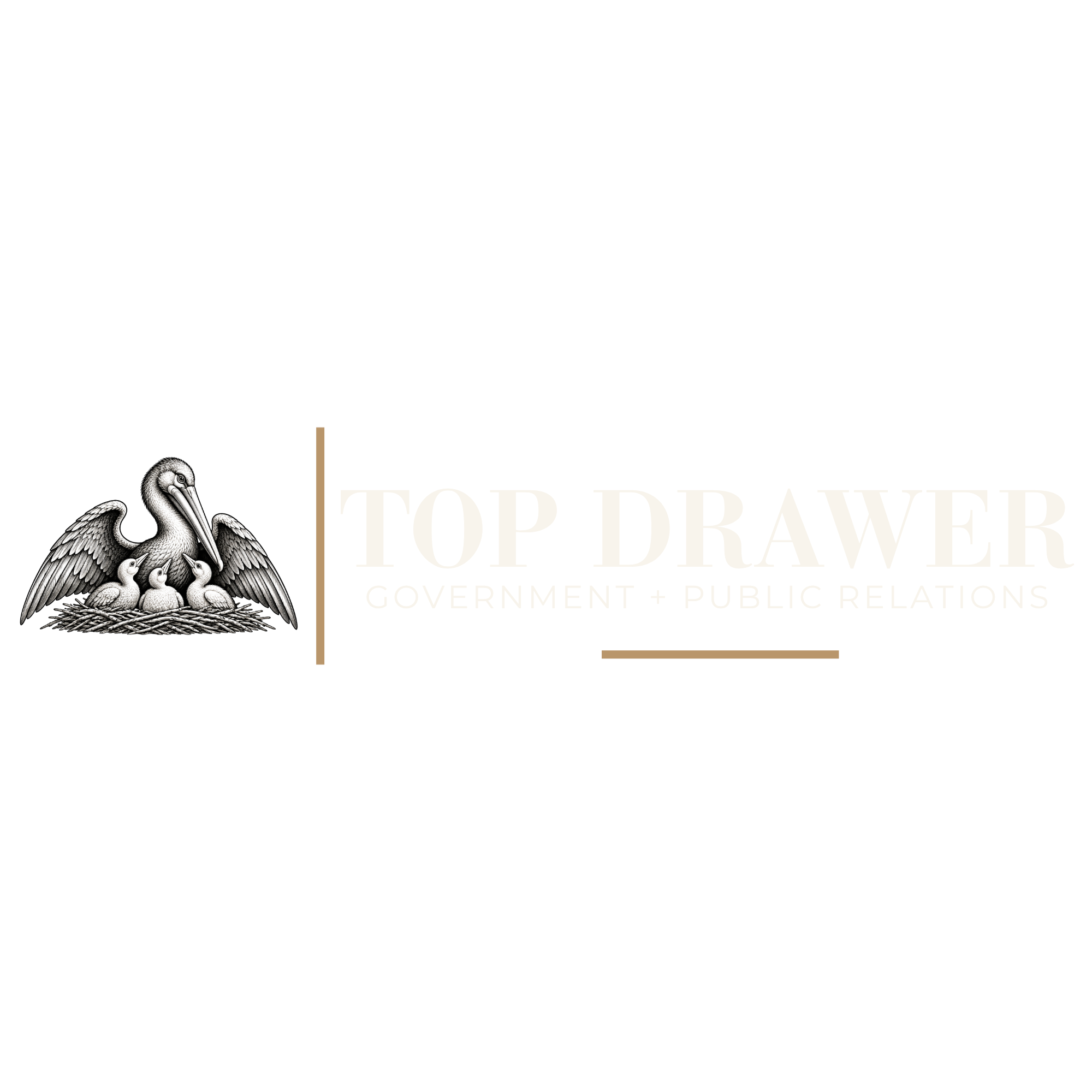 Top Drawer Strategies Logo