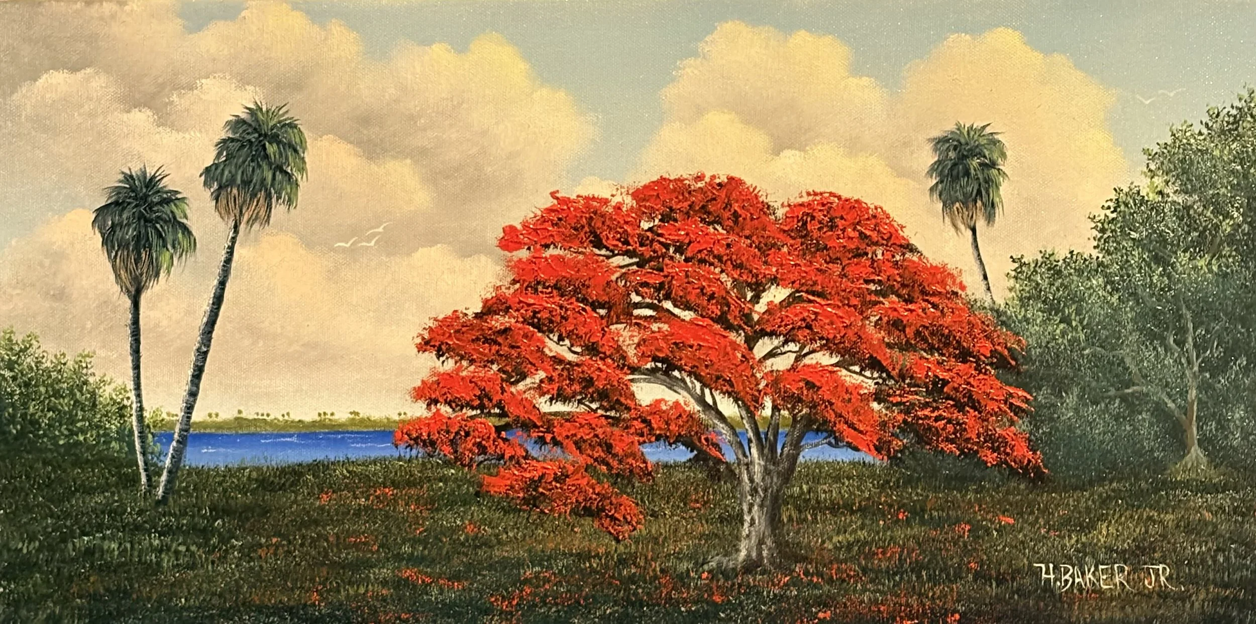 Flame of the Poinciana
