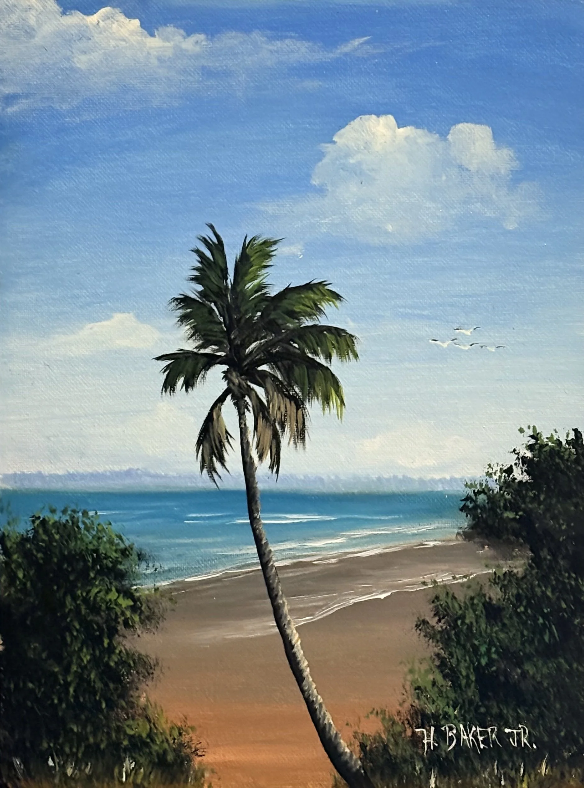 St. Lucie Shoreline