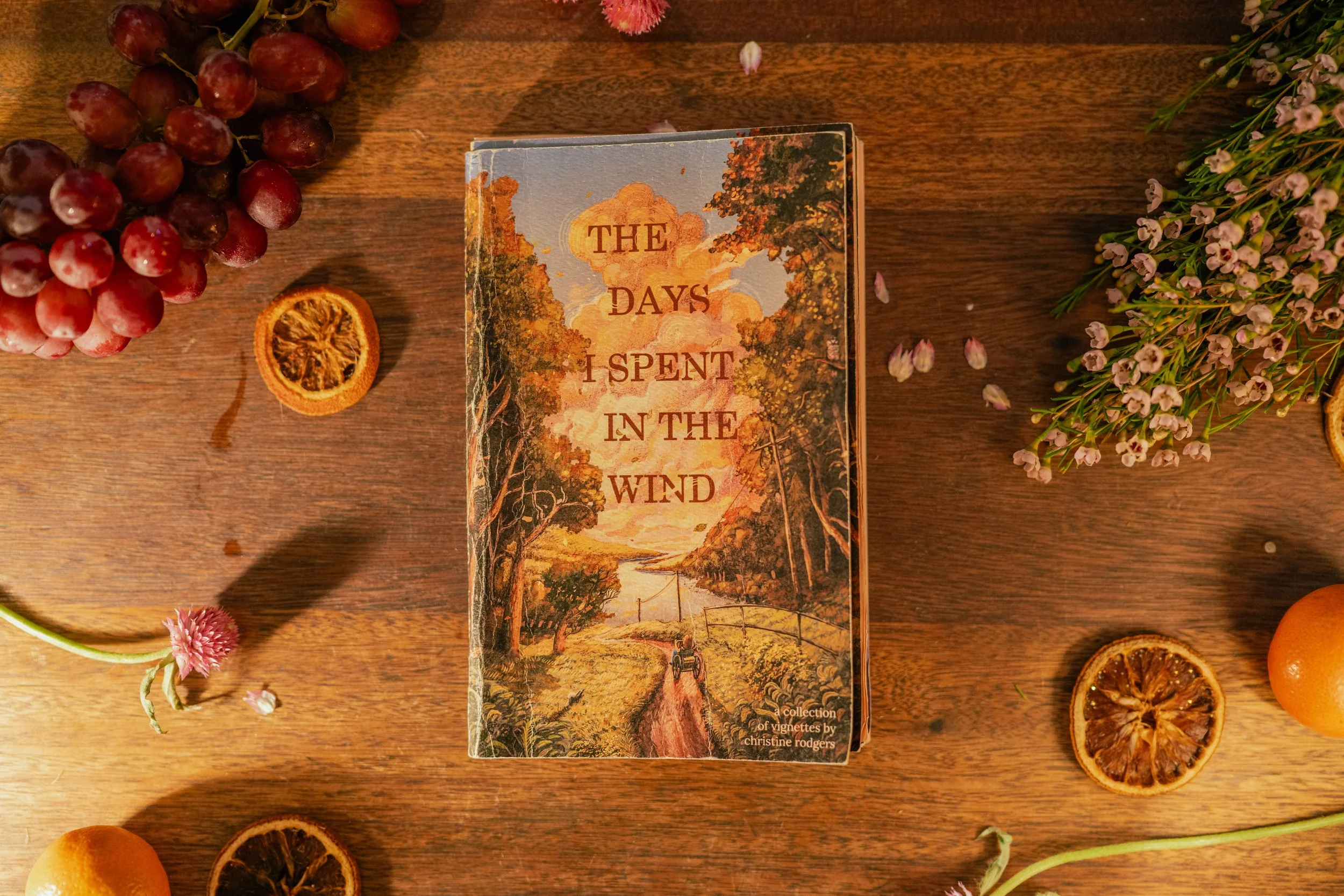The Days I Spent In The Wind Book