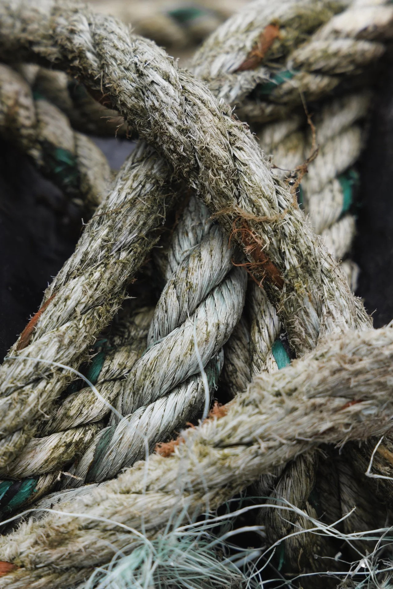 Brixham_JPEG-27.jpg