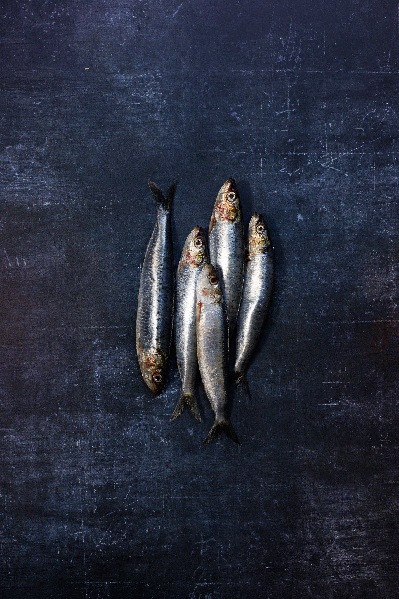 Four small fish with shiny silver bodies and dark fins are lying on a dark, textured surface.