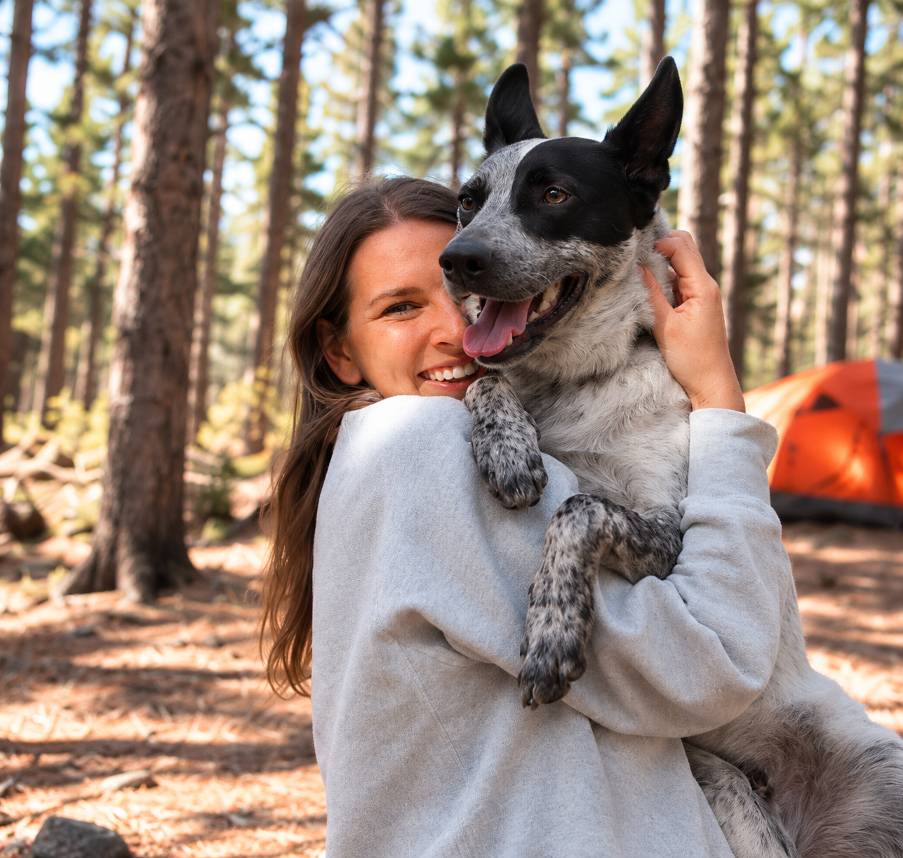 Camping with Arlo.png