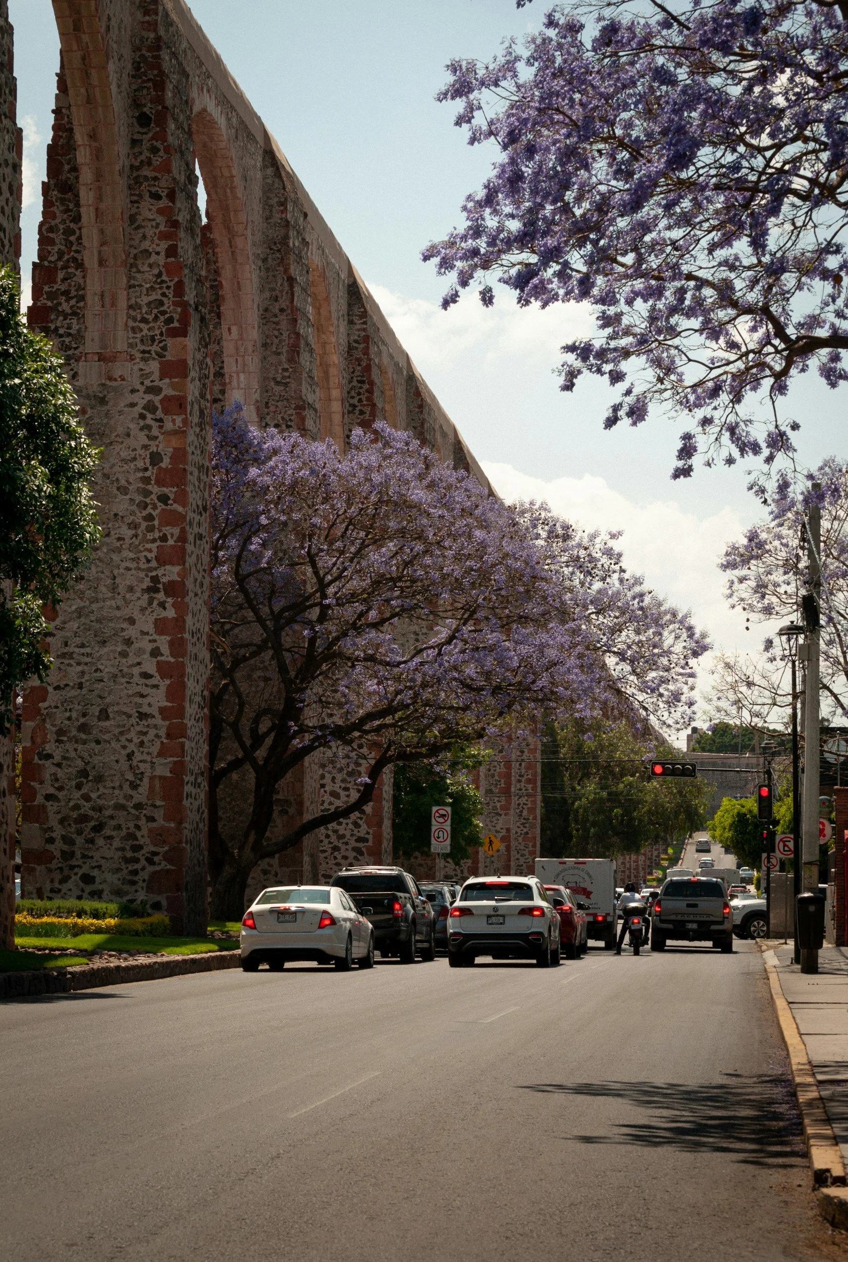 Una calle con varios autos estacionados y vehículos en movimiento, árboles con flores violetas y un muro de piedra con arcos antiguos al lado de la calle, señal de tráfico con luz roja y señales de tránsito en la esquina.