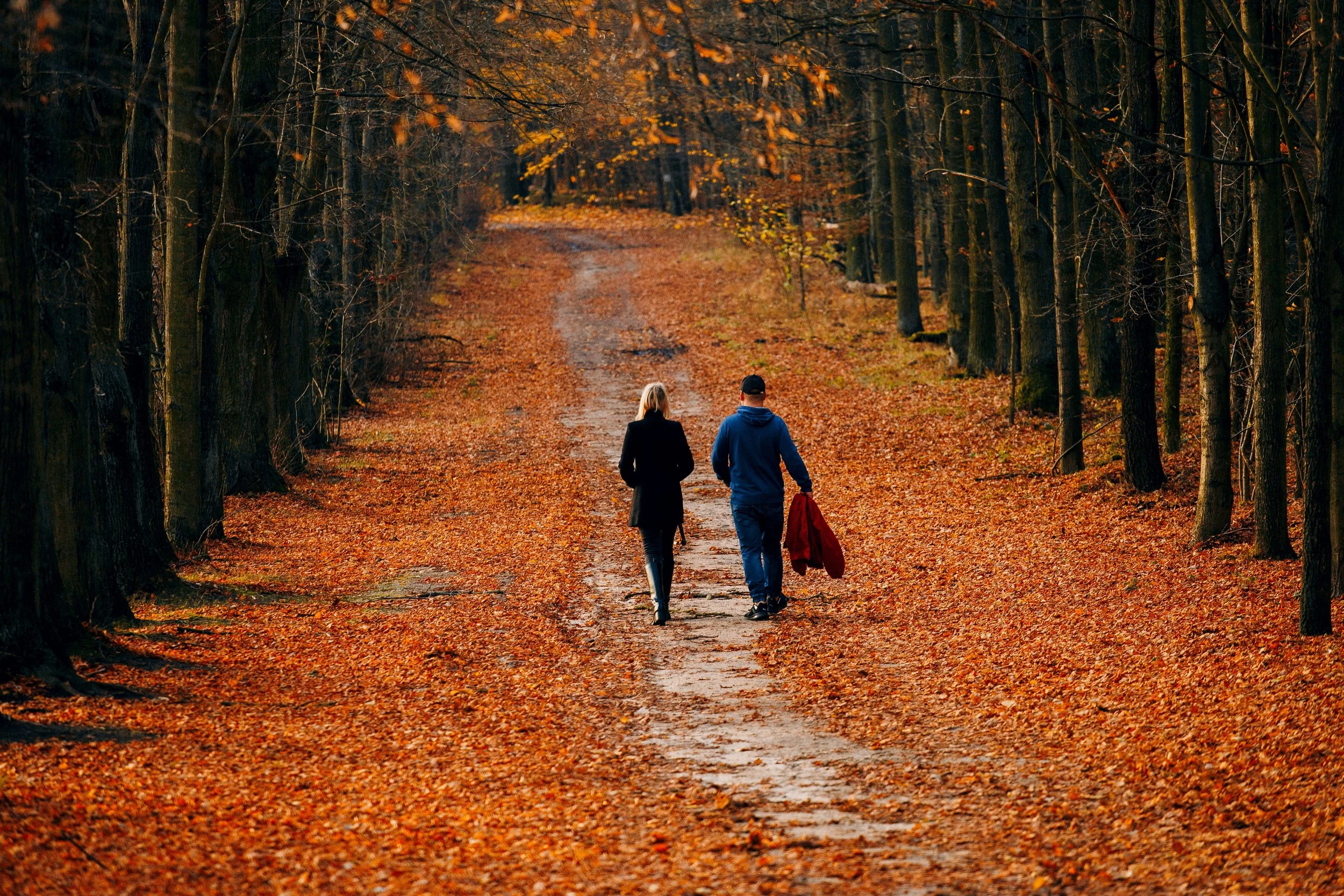 Deux personnes marchent dans une forêt automnale aux couleurs chaudes, recouverte de feuilles mortes, sous un ciel légèrement nuageux.