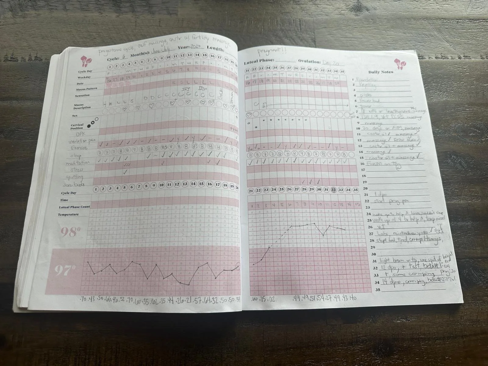 Cycle Mapping for Pregnancy