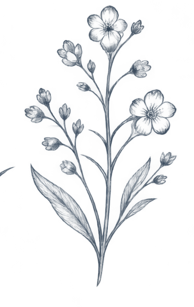Illustration of a blue flower with multiple blooms and elongated leaves.