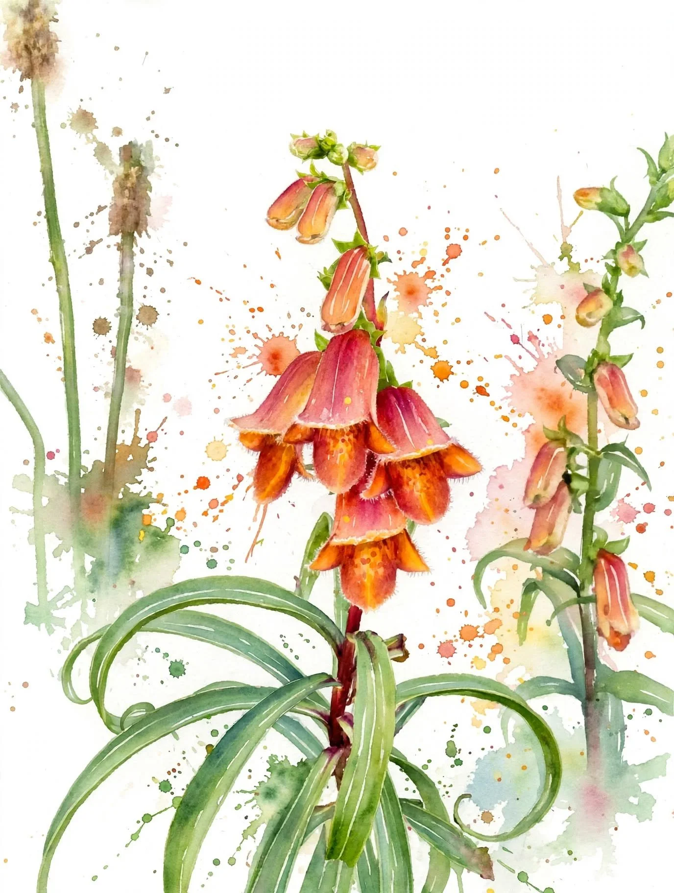 Ilustración acuarela de flores de color naranja con detalles en rosa y verde, con gotas de pintura en el fondo.