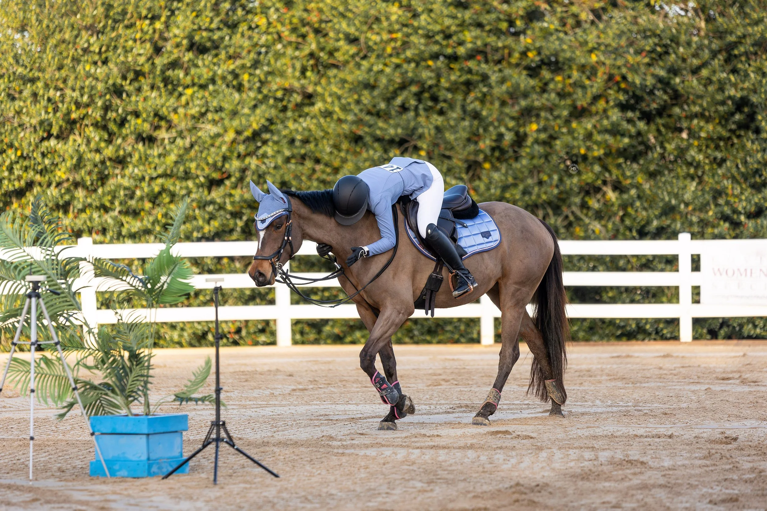 A person riding a brown horse during an equestrian event, with a white fence, green bushes, and equipment in the background.