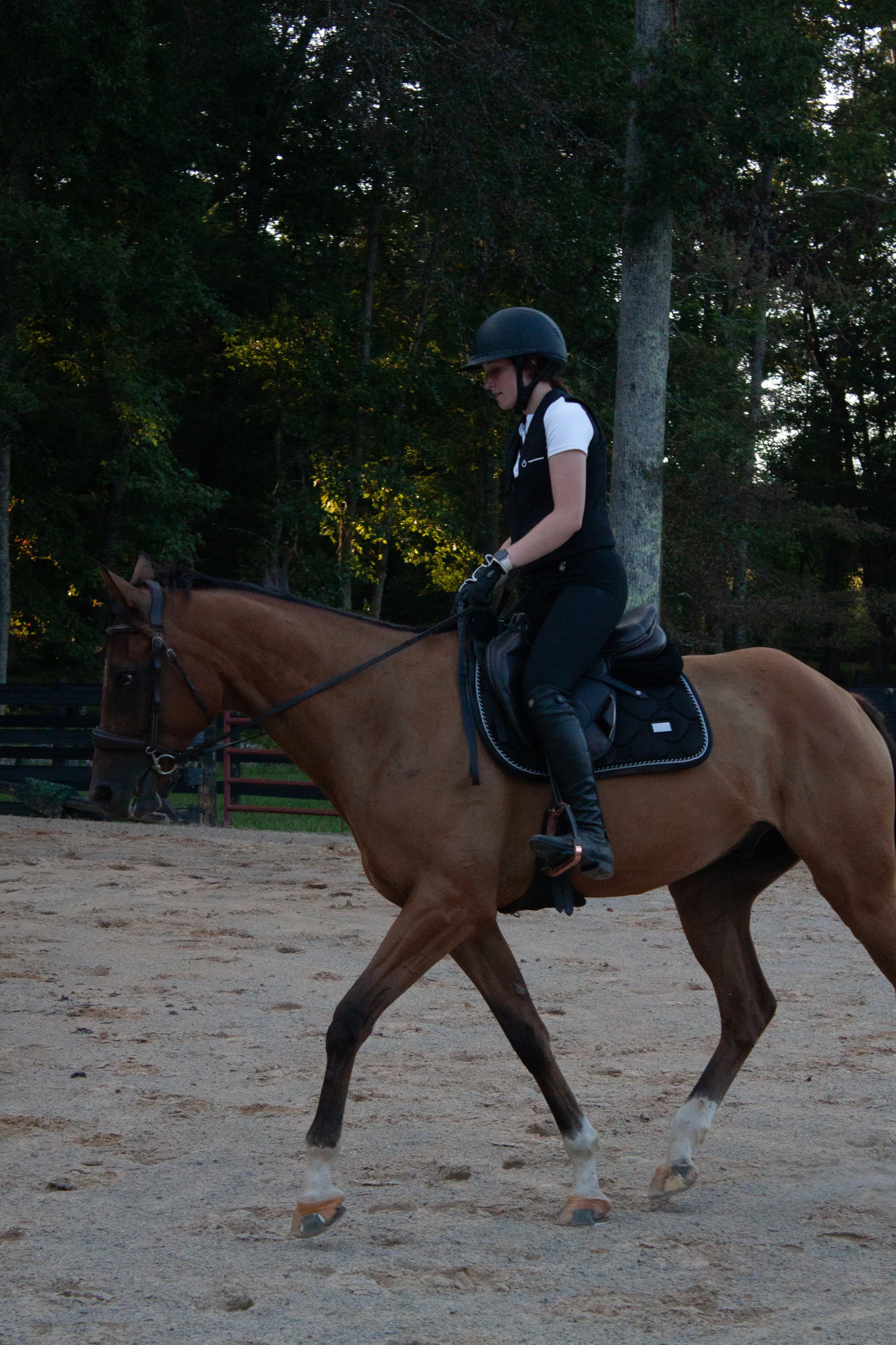 Person riding a brown horse outdoors on a clear day, wearing a black riding helmet, black riding pants, and a black vest, surrounded by trees.