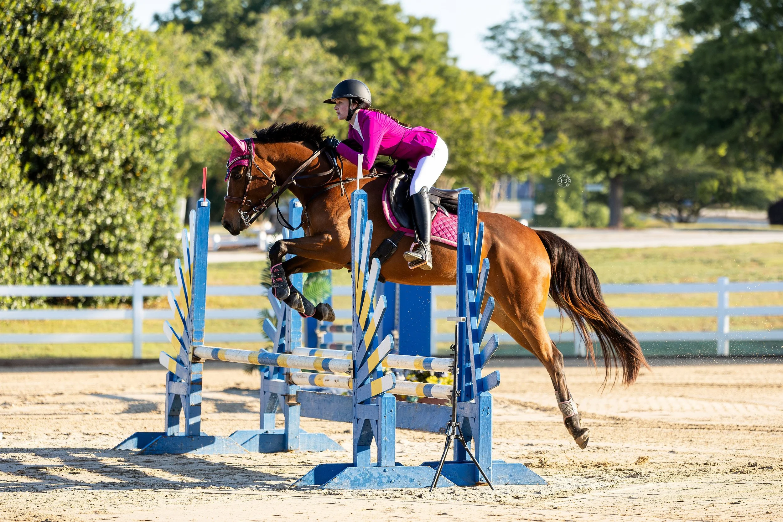 A female equestrian rider in a pink jacket, white breeches, and black helmet jumps a horse over a show jumping obstacle in an outdoor arena surrounded by green trees.