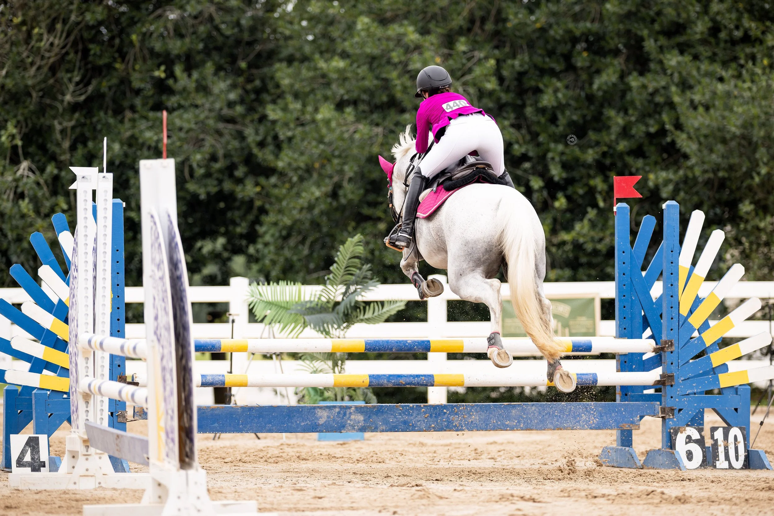 A person riding a white horse in a pink and black riding outfit, jumping over a colorful obstacle in an equestrian competition.