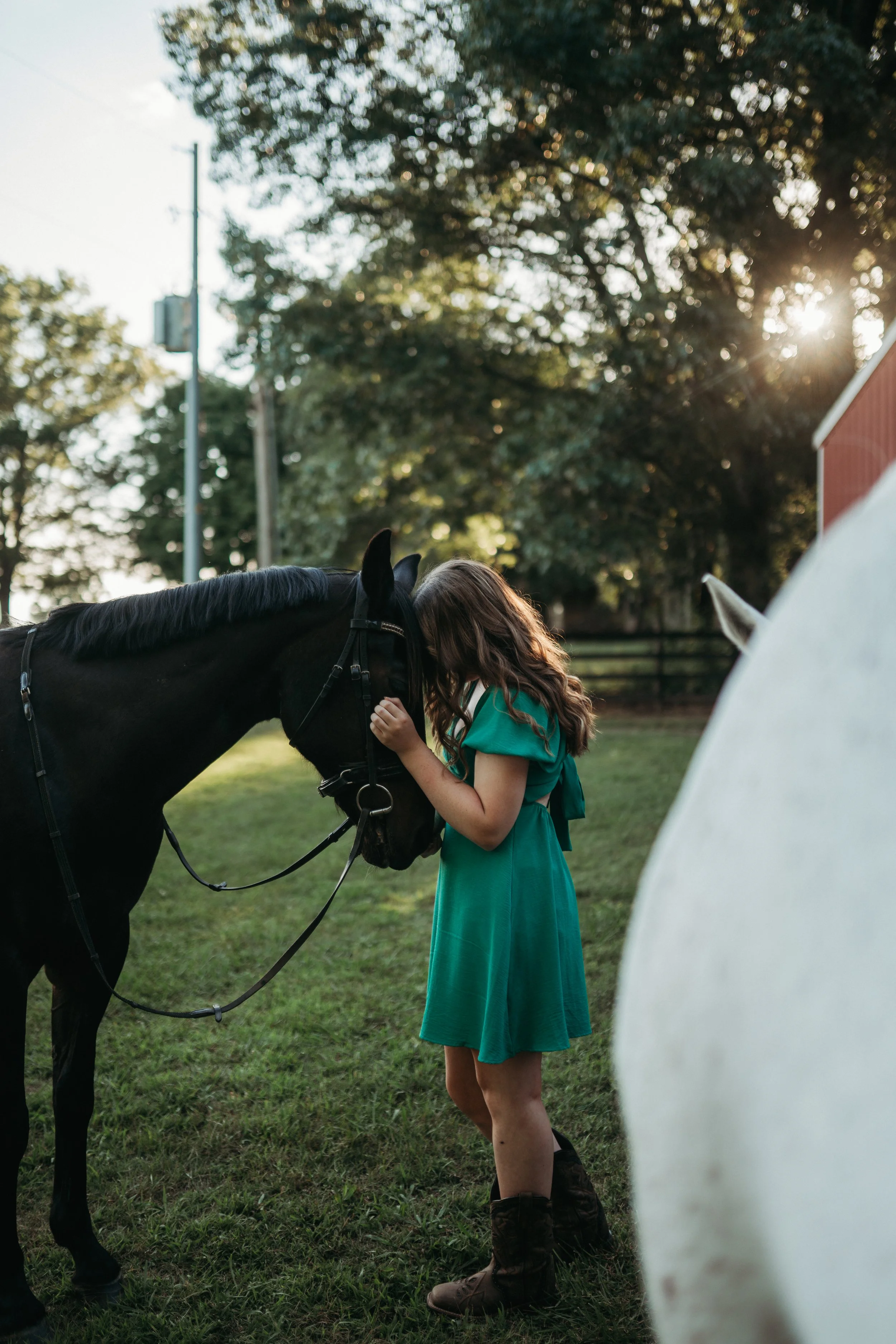 A girl in a turquoise dress is leaning her forehead against the forehead of a black horse, affectionately nuzzling the horse on its nose. The scene takes place outdoors on a grassy field during sunset, with large trees and a red barn in the background.