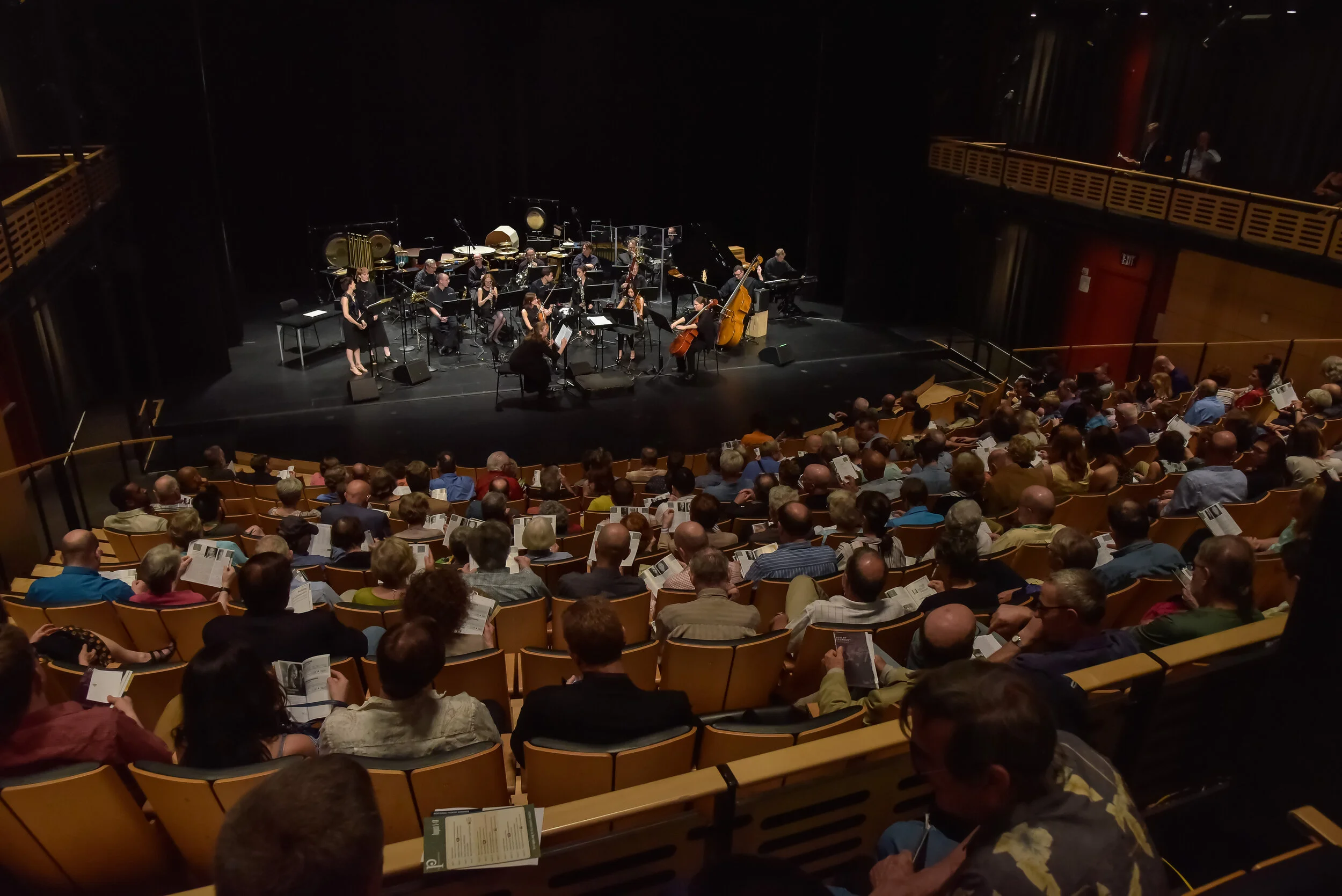 AMF Concert: Dogs of Desire