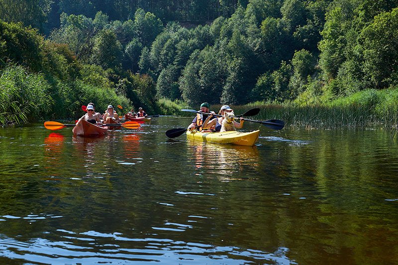  Kayak group paddles will take place on the historic Hudson River. 