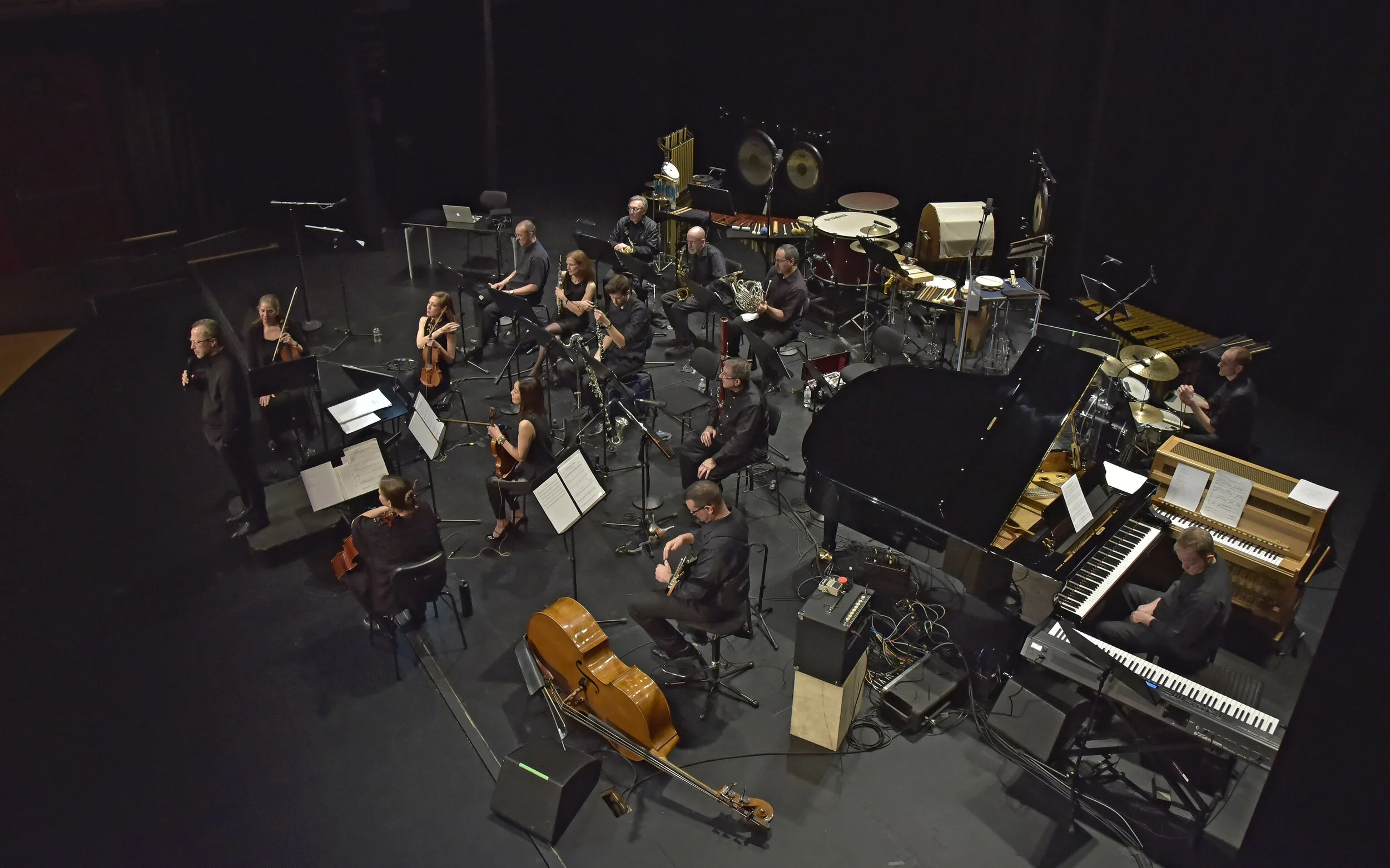 The Dogs of Desire at the American Music Festival (2019)