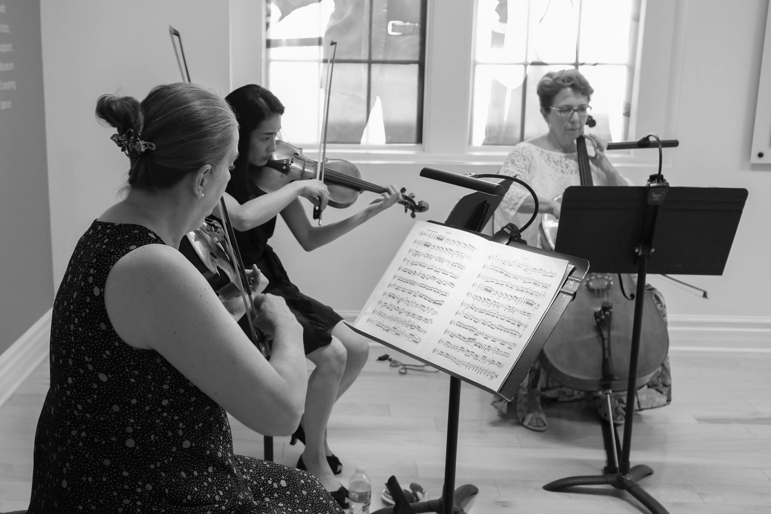 AMF: "Endangered" Chamber Performance