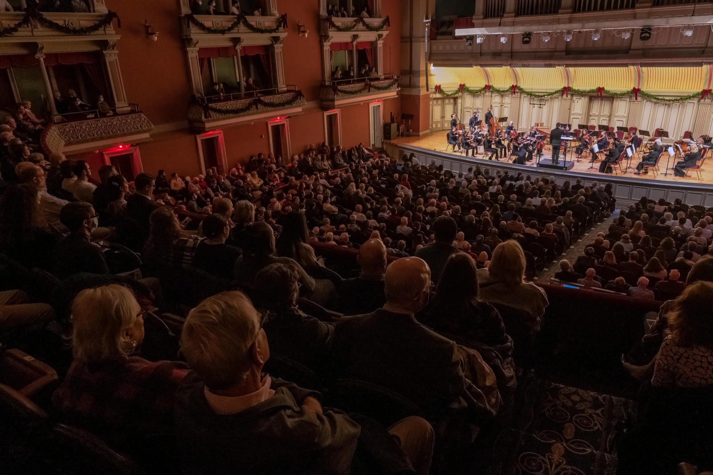 Nicky Sohn + Holiday Mozart & Vivaldi | Matinee