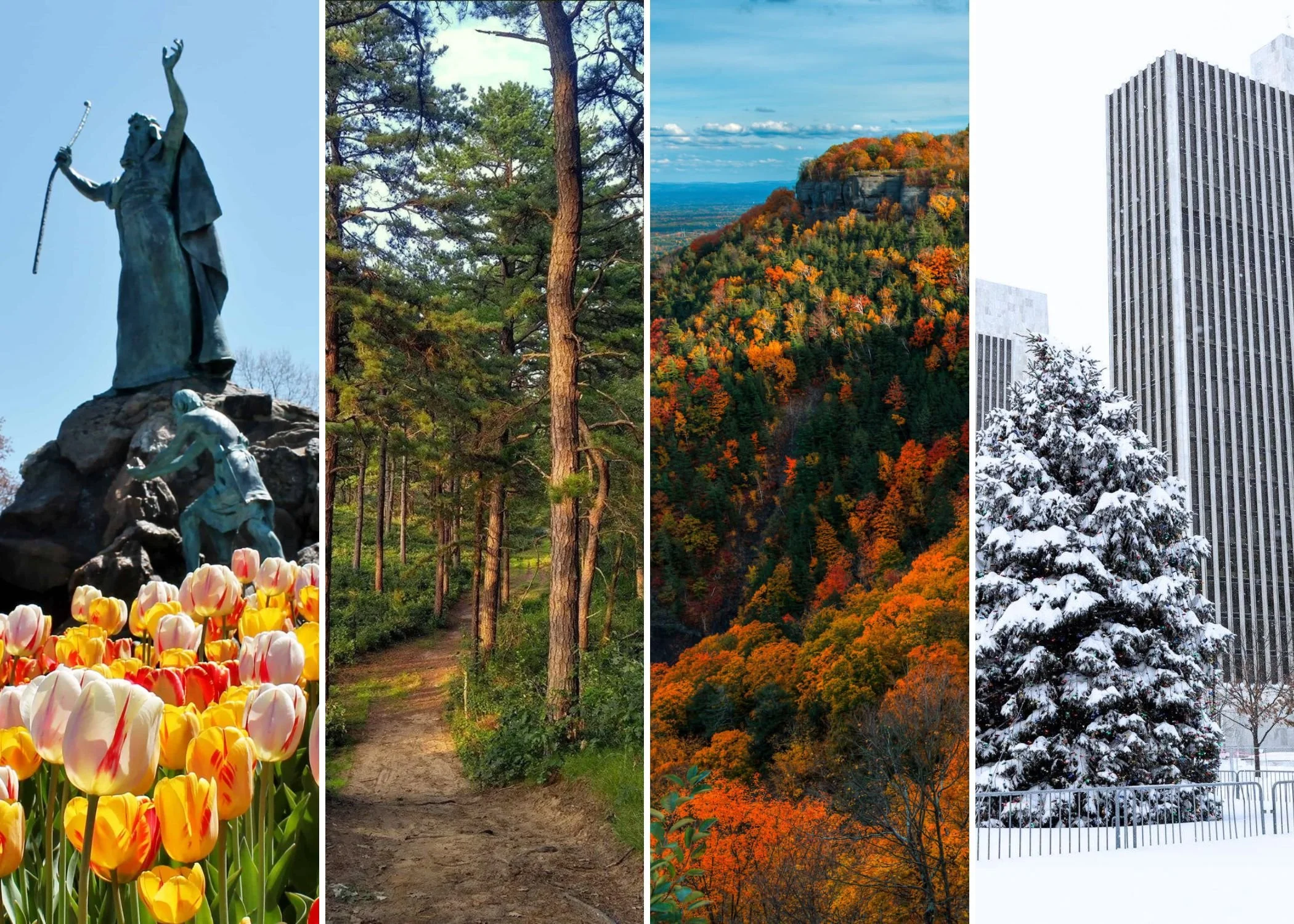 The Four Seasons + Esmail