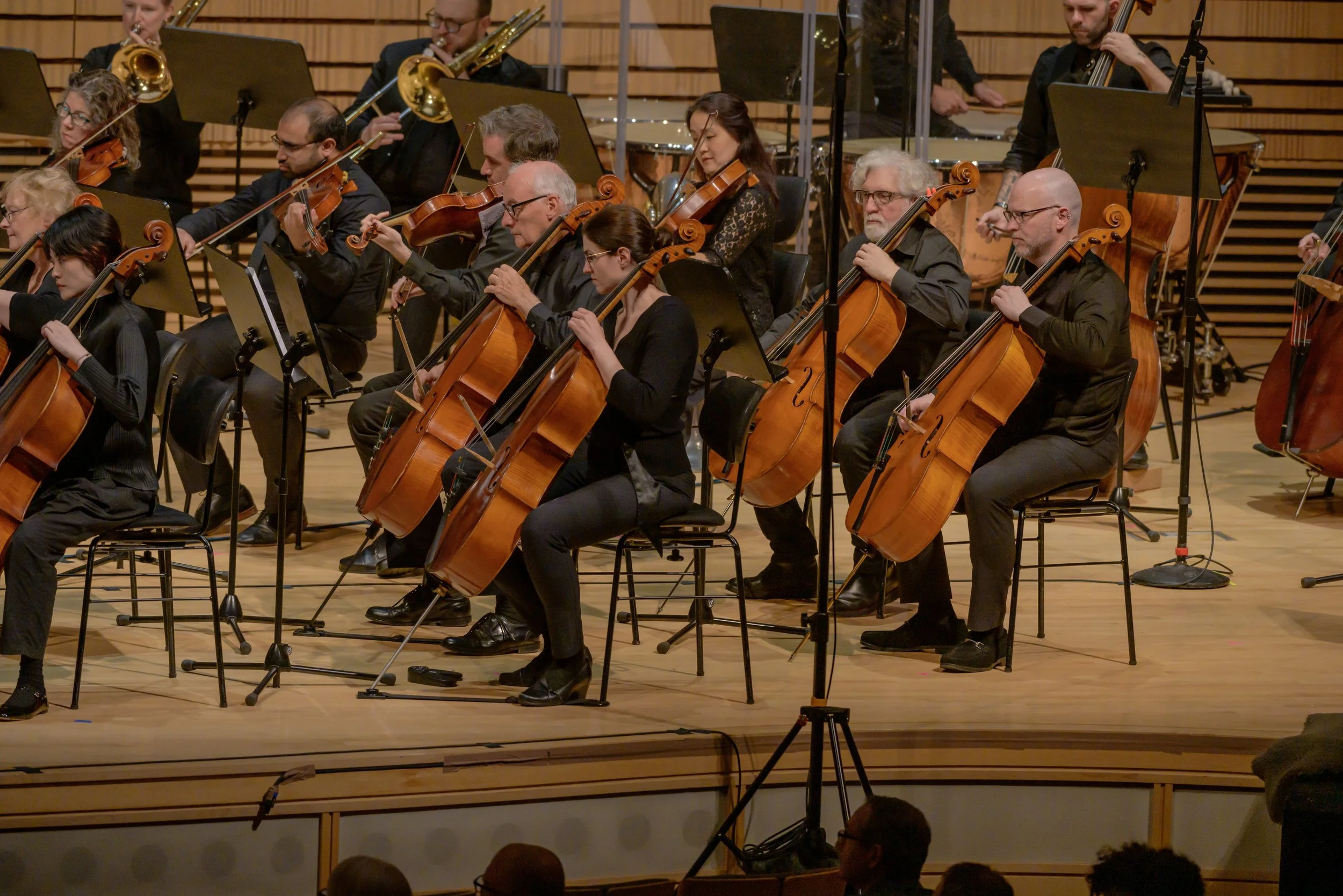  Albany Symphony Orchestra musicians performing at EMPAC Concert Hall June 7, 2025 PC: Gary Gold Photography 