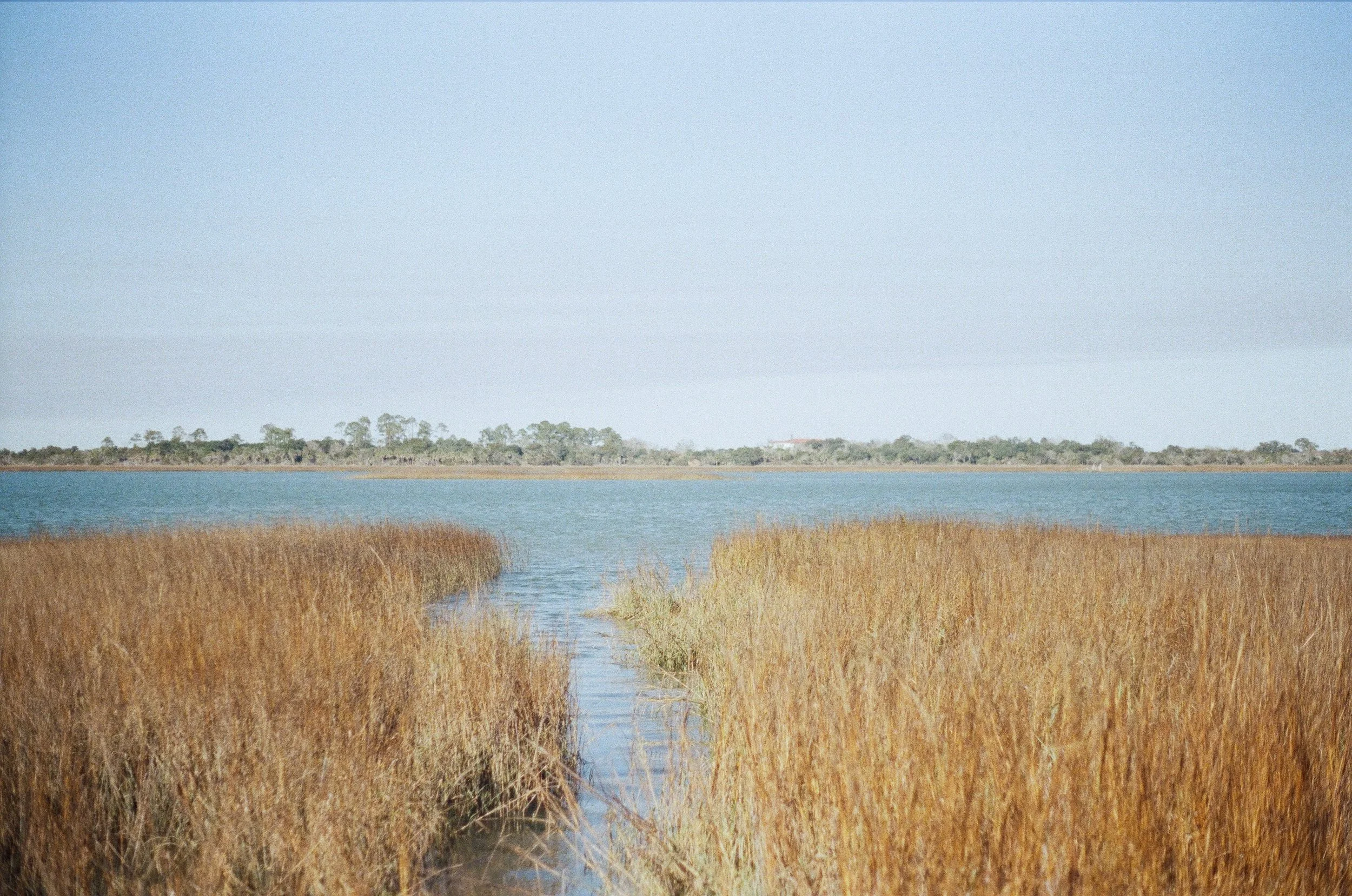 Marsh Print